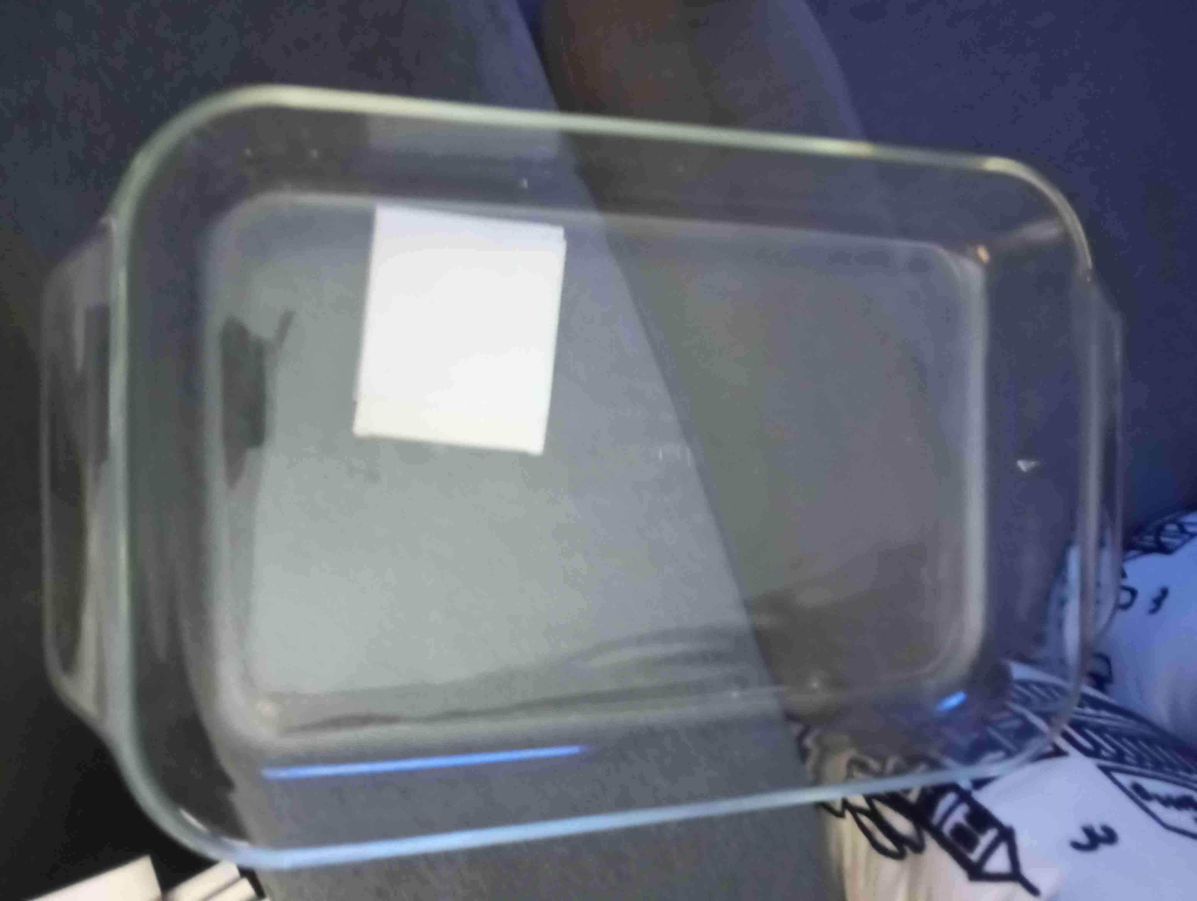 Fuente de vidrio rectangular