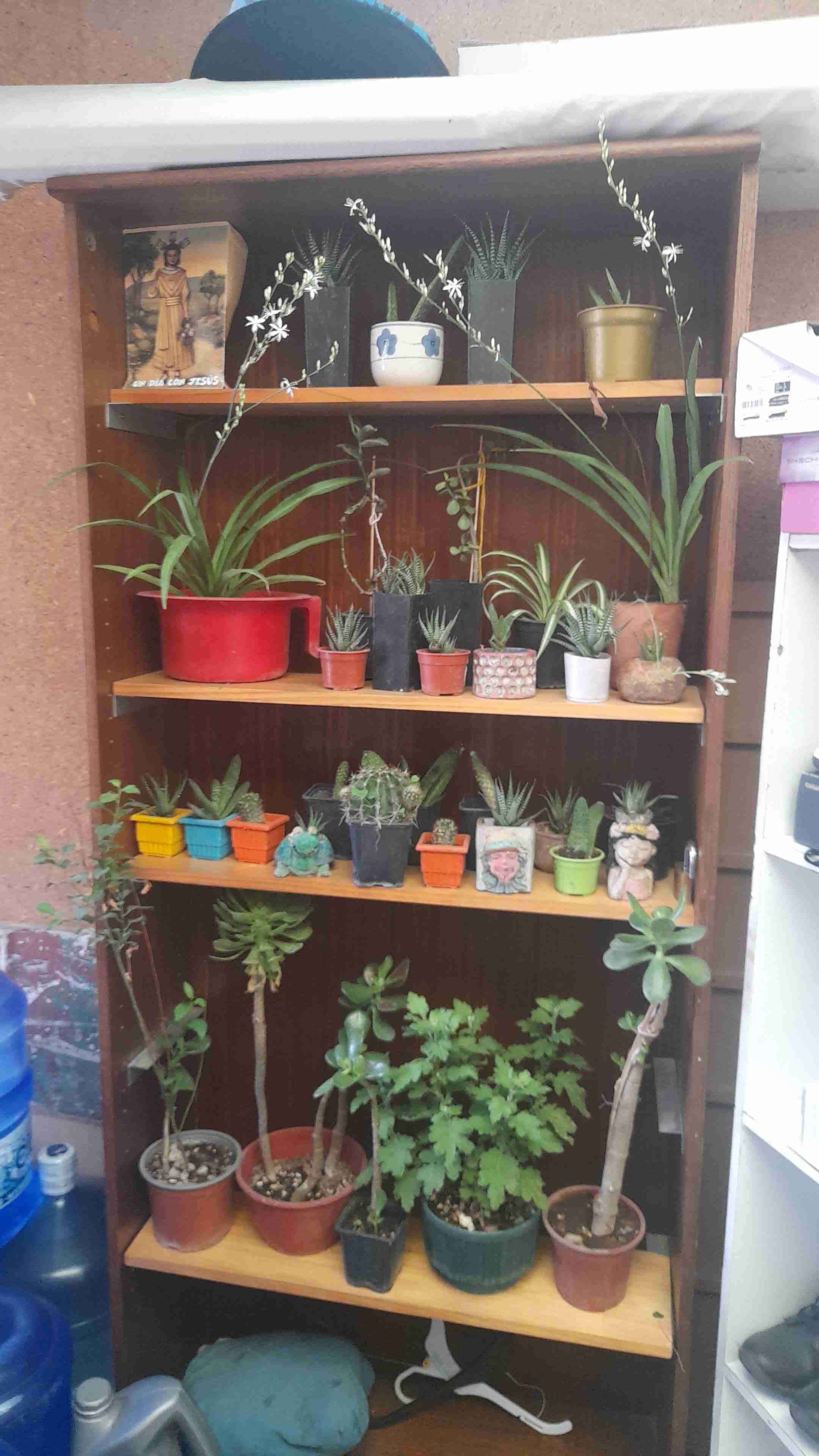 Secadora Mabe 10kg usada - miniatura 3