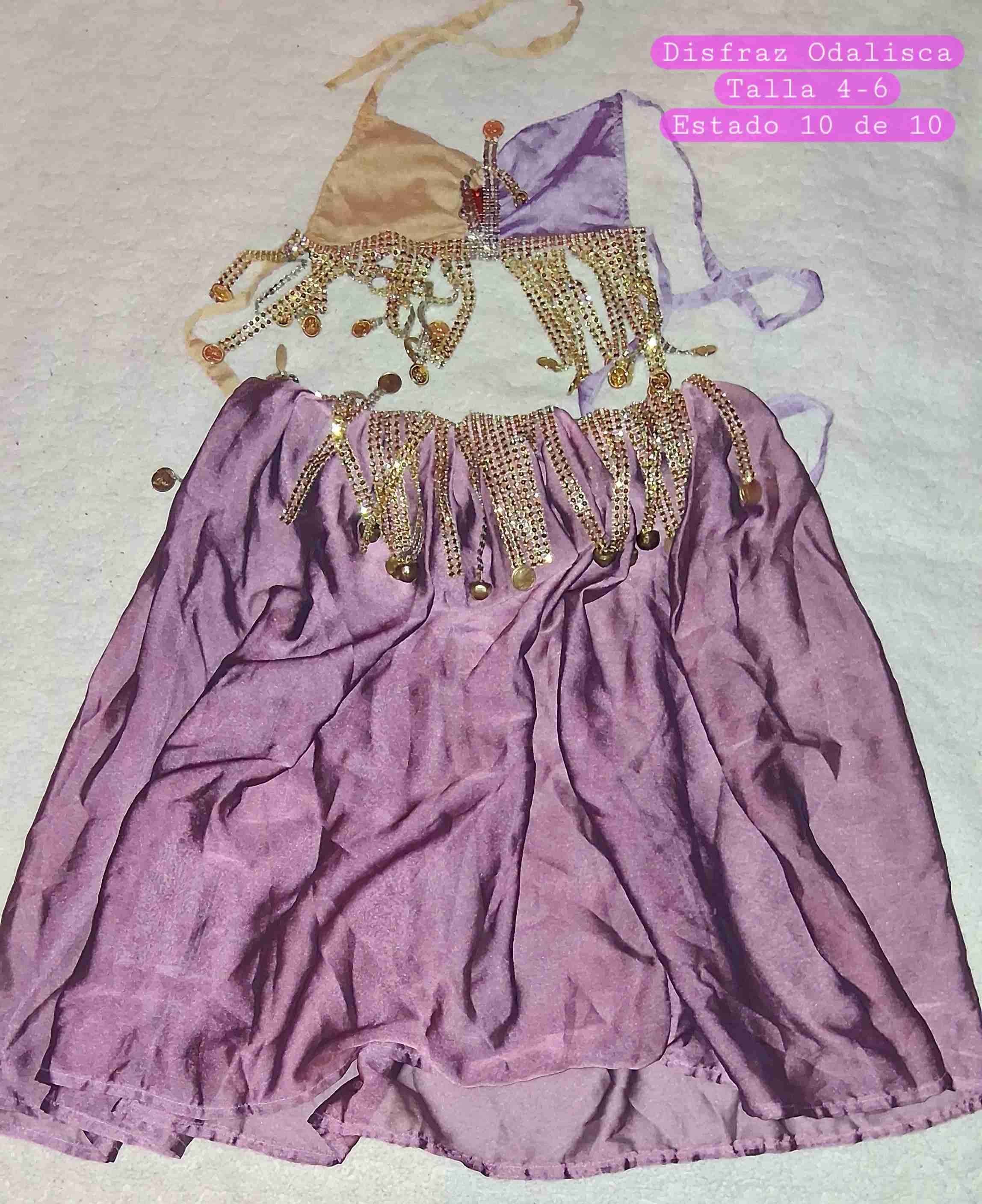 Disfraz odalisca color morado