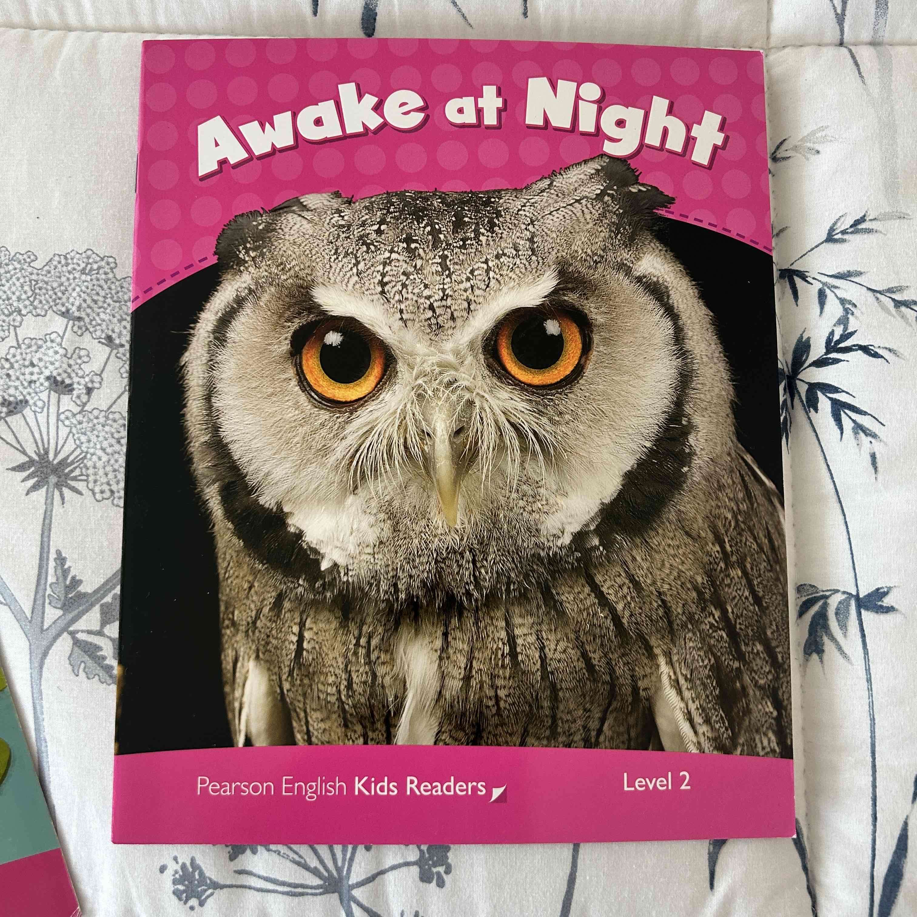 Libro Awake at Night Nivel 2