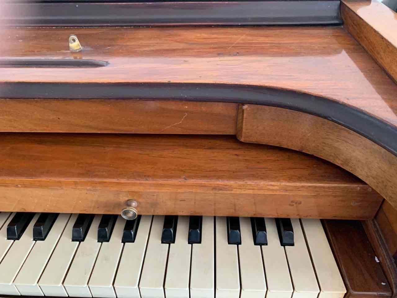 Piano vertical Winter Musette - miniatura 2