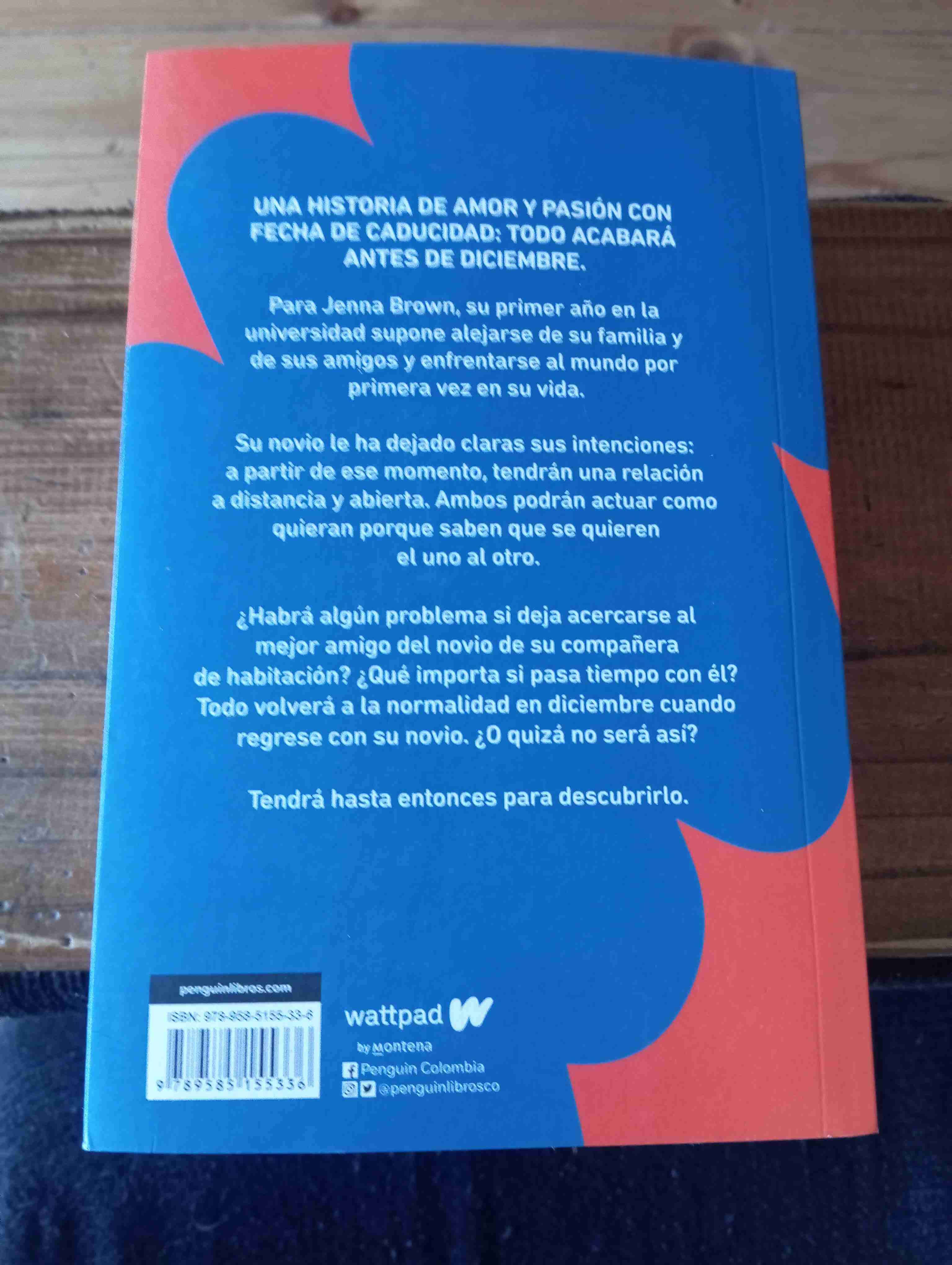 Libro Antes de Diciembre - miniatura 2