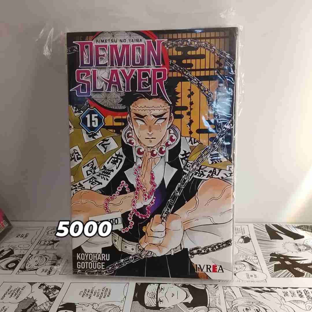 Mangas en remate variados - miniatura 3