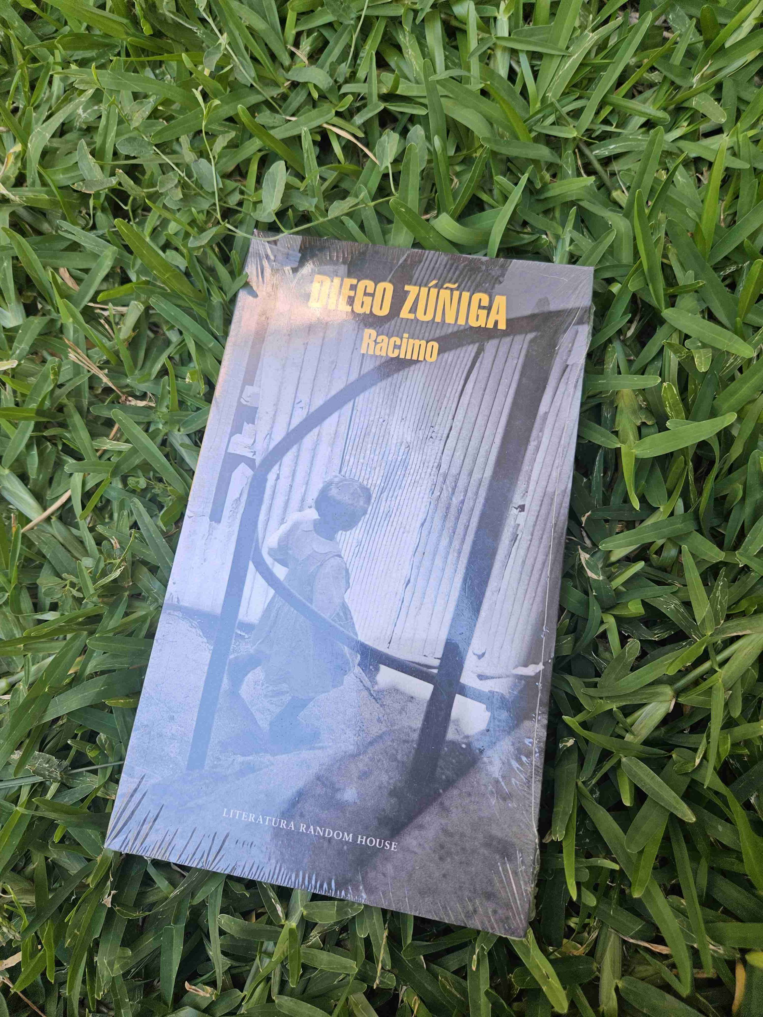 Libro Racimo de Diego Zúñiga - miniatura 5