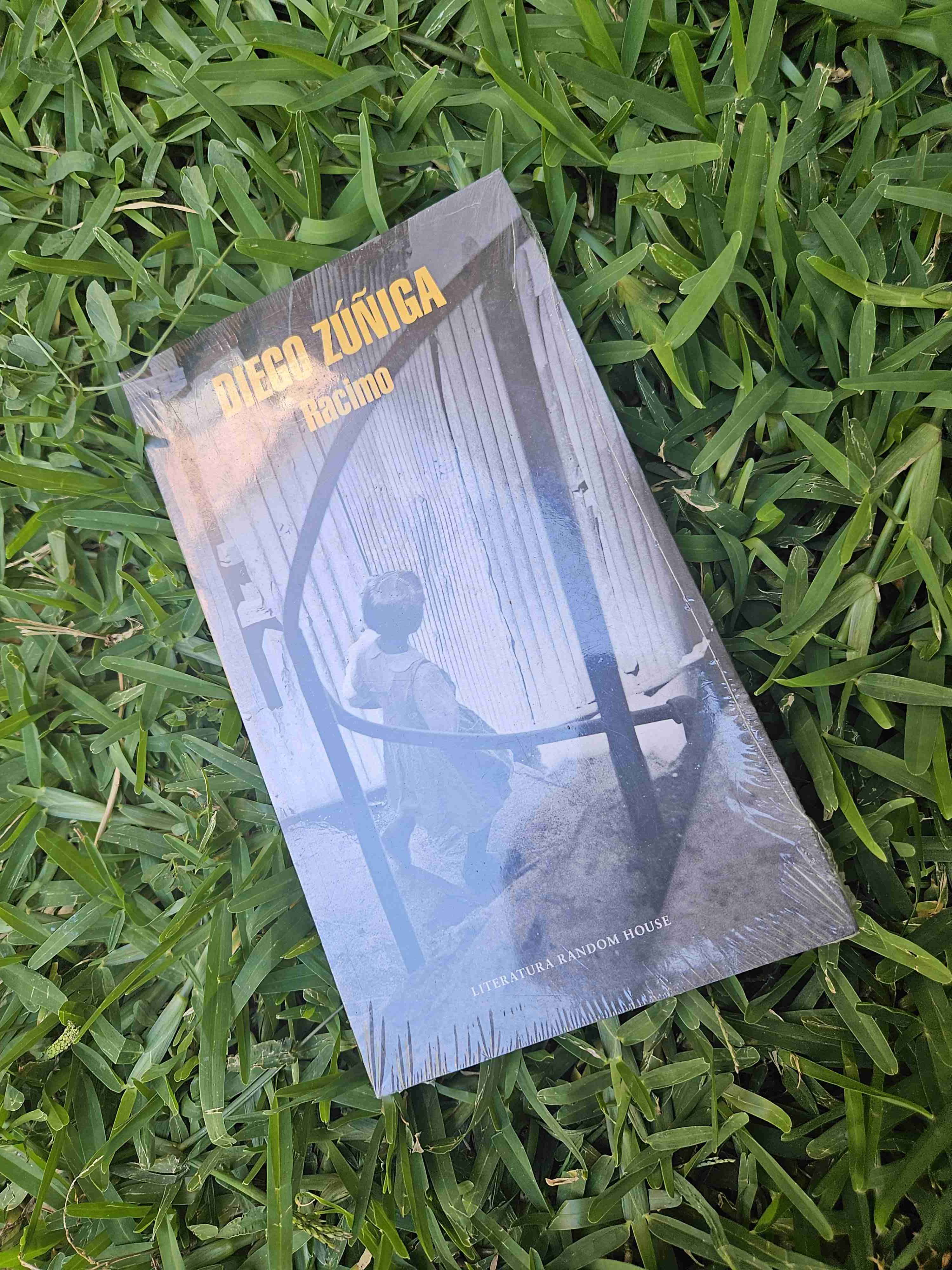 Libro Racimo de Diego Zúñiga - miniatura 6