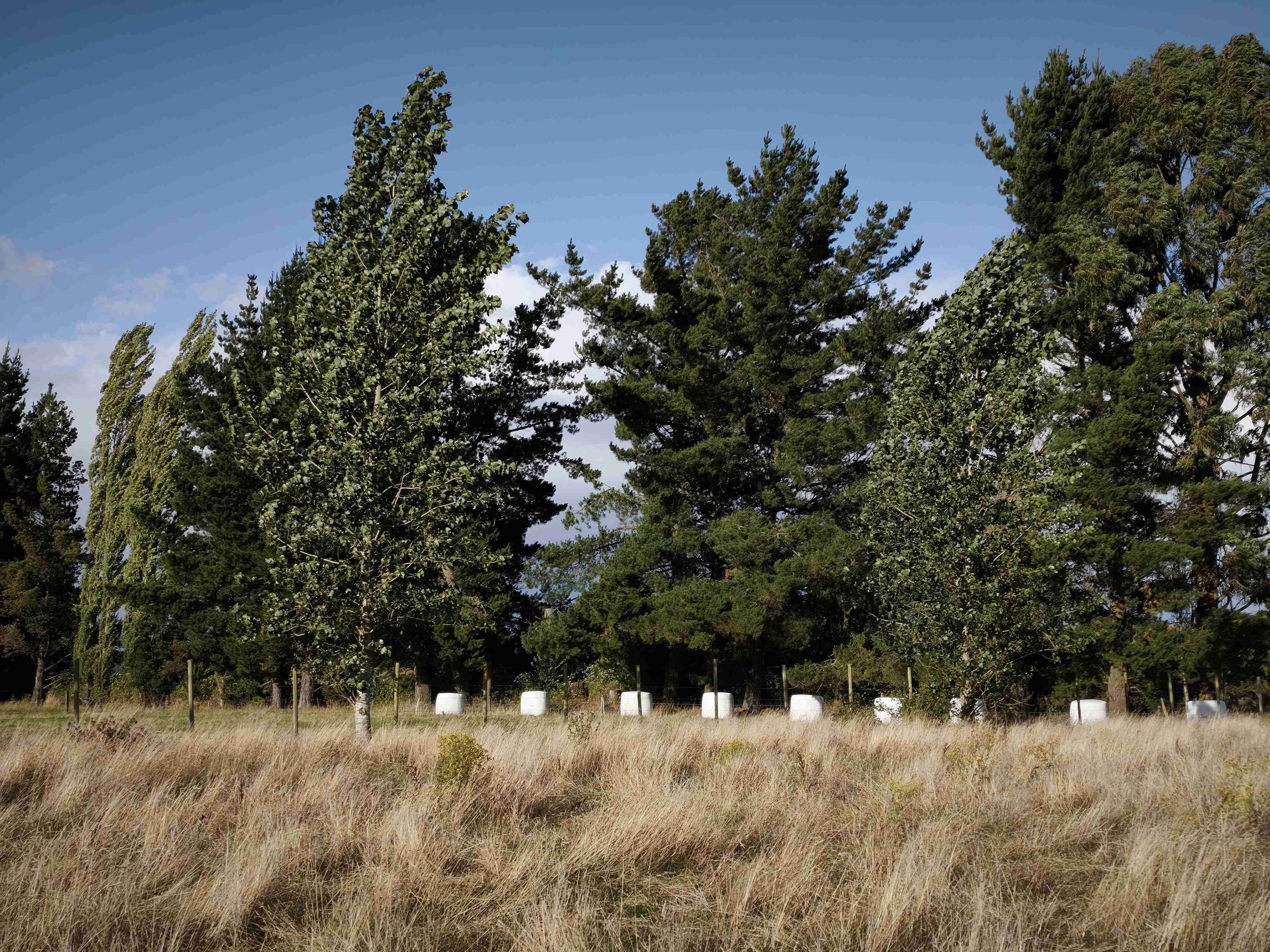 Parcelas Proyecto Portal del Ranco - miniatura 2