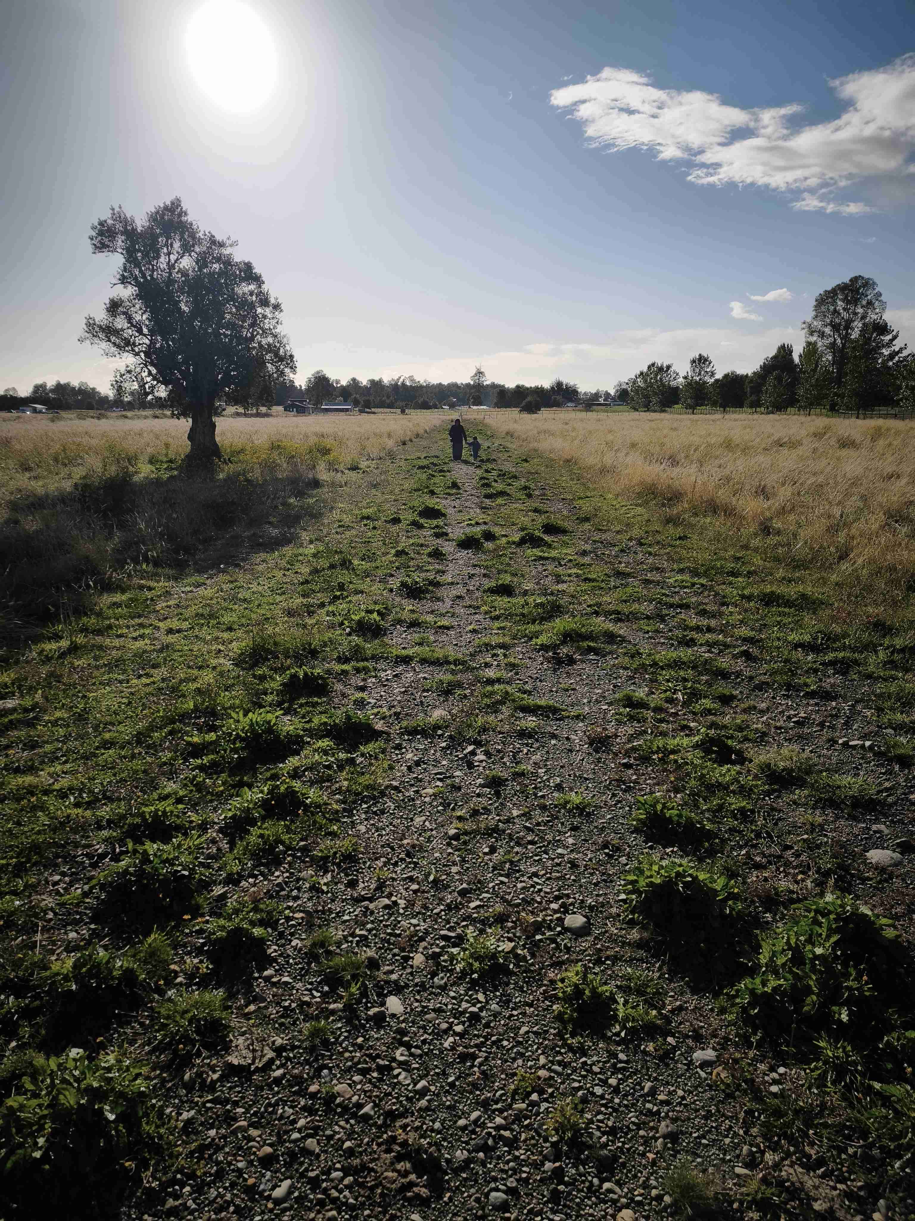 Parcelas Proyecto Portal del Ranco - miniatura 3