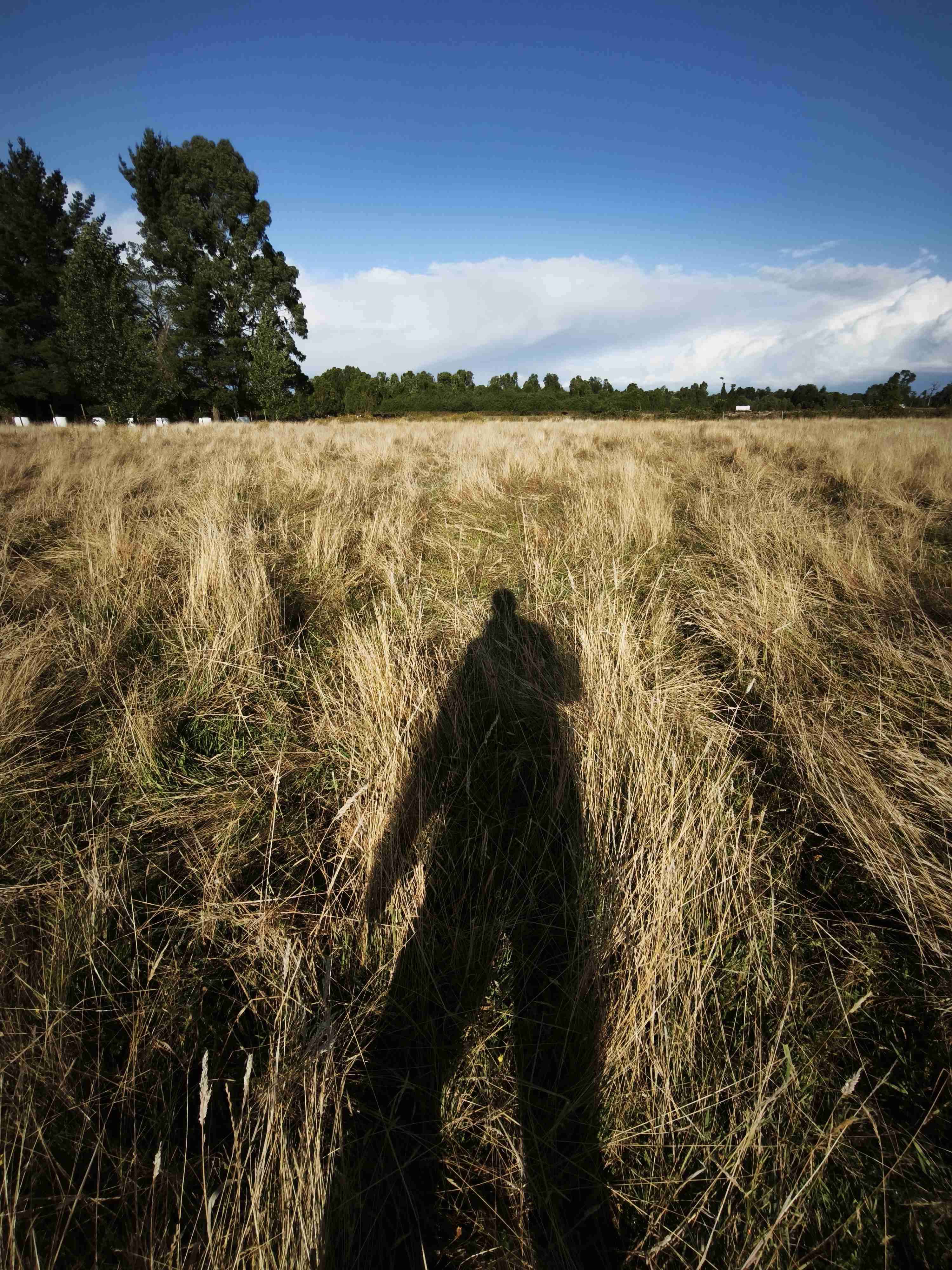 Parcelas Proyecto Portal del Ranco - miniatura 4