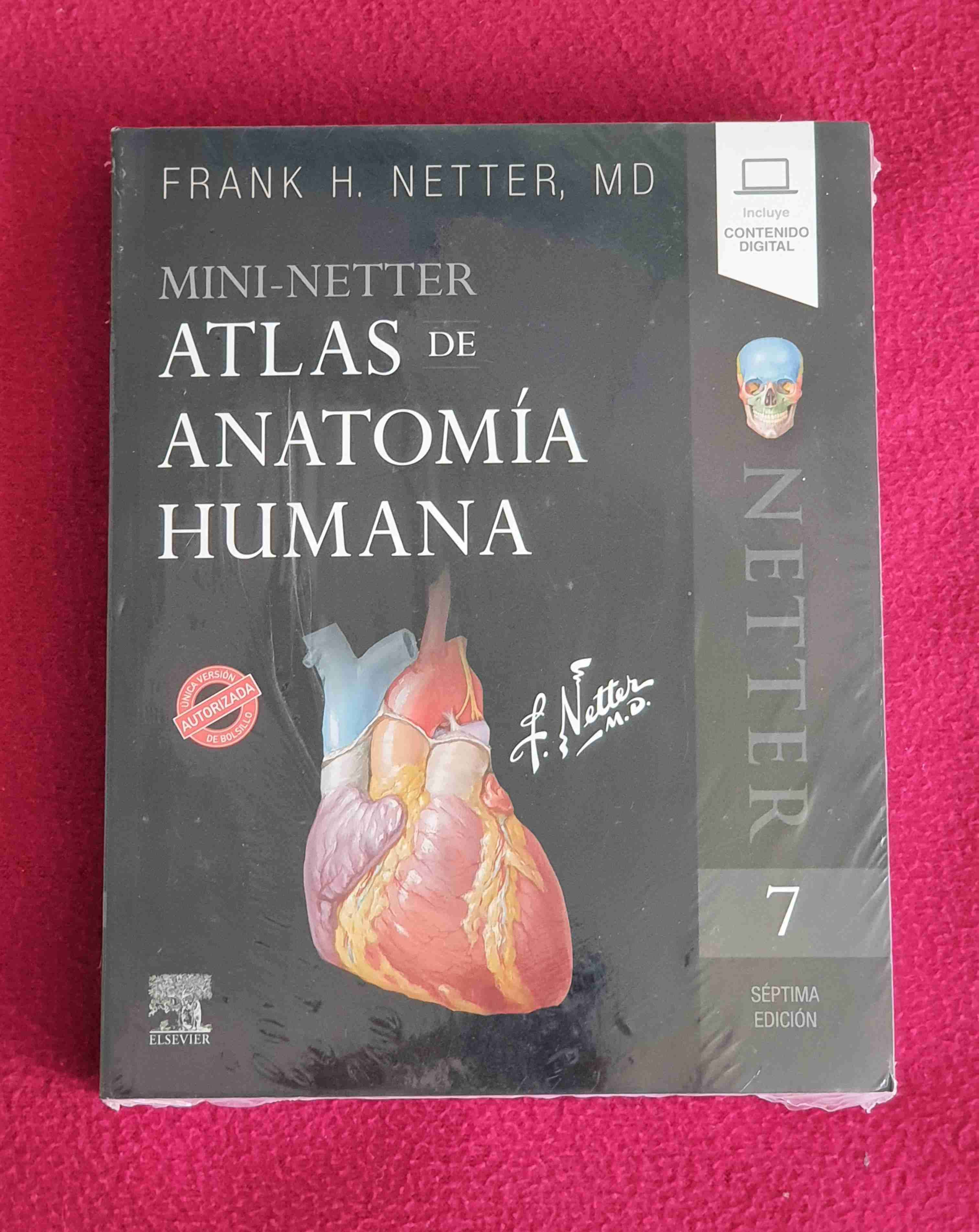 Mini Netter Atlas de Anatomía Humana