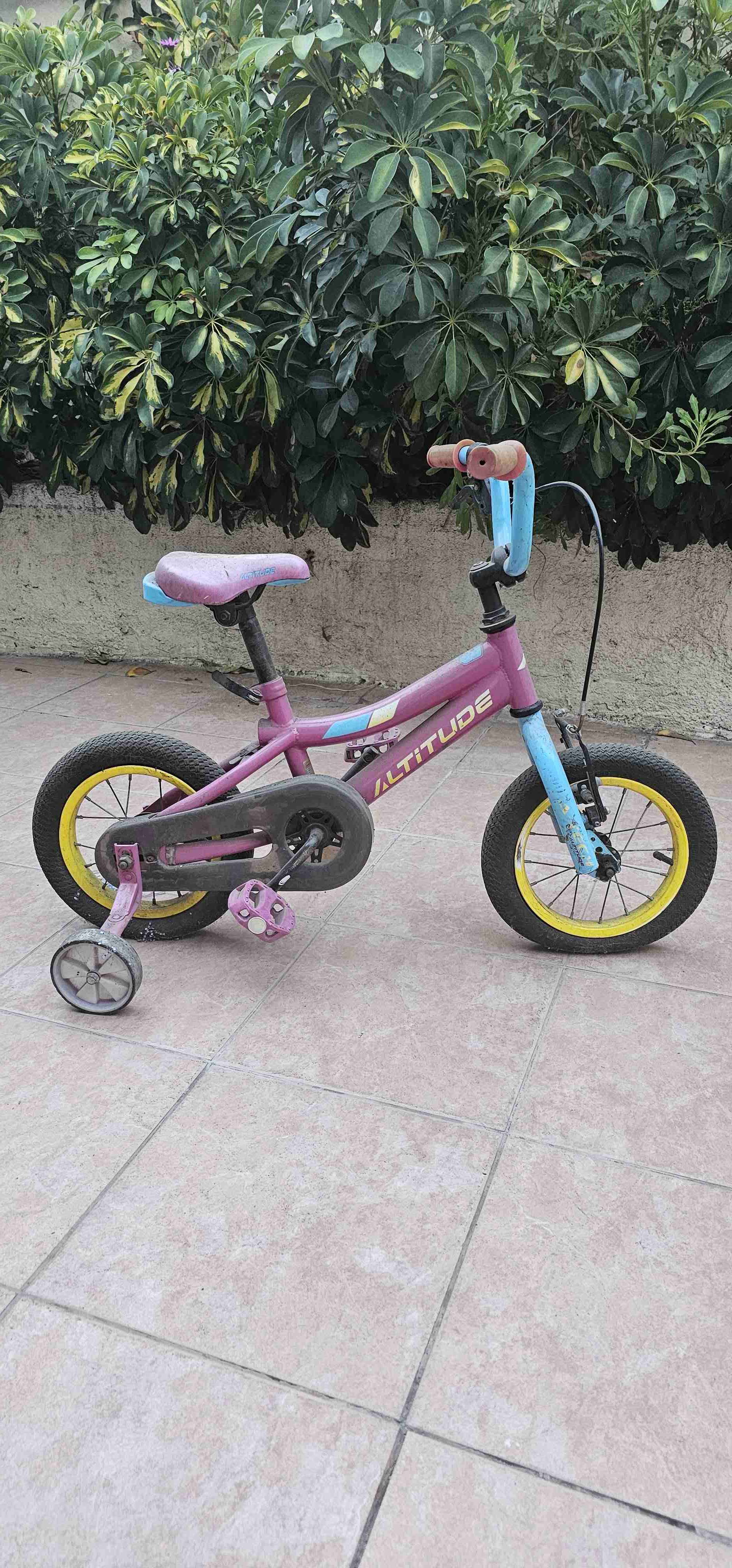 Bicicleta infantil con ruedas de apoyo