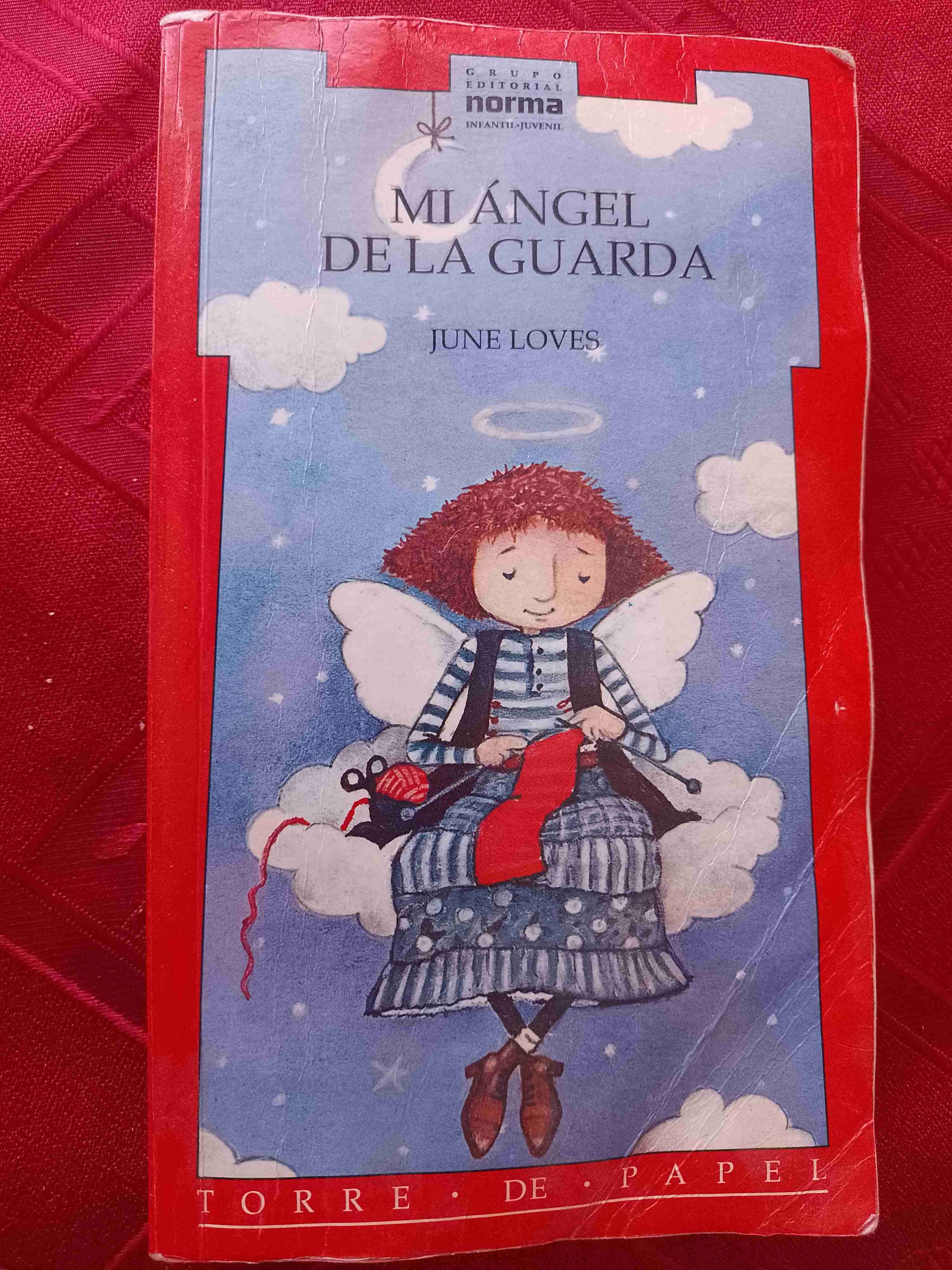 Libro Mi ángel de la guarda