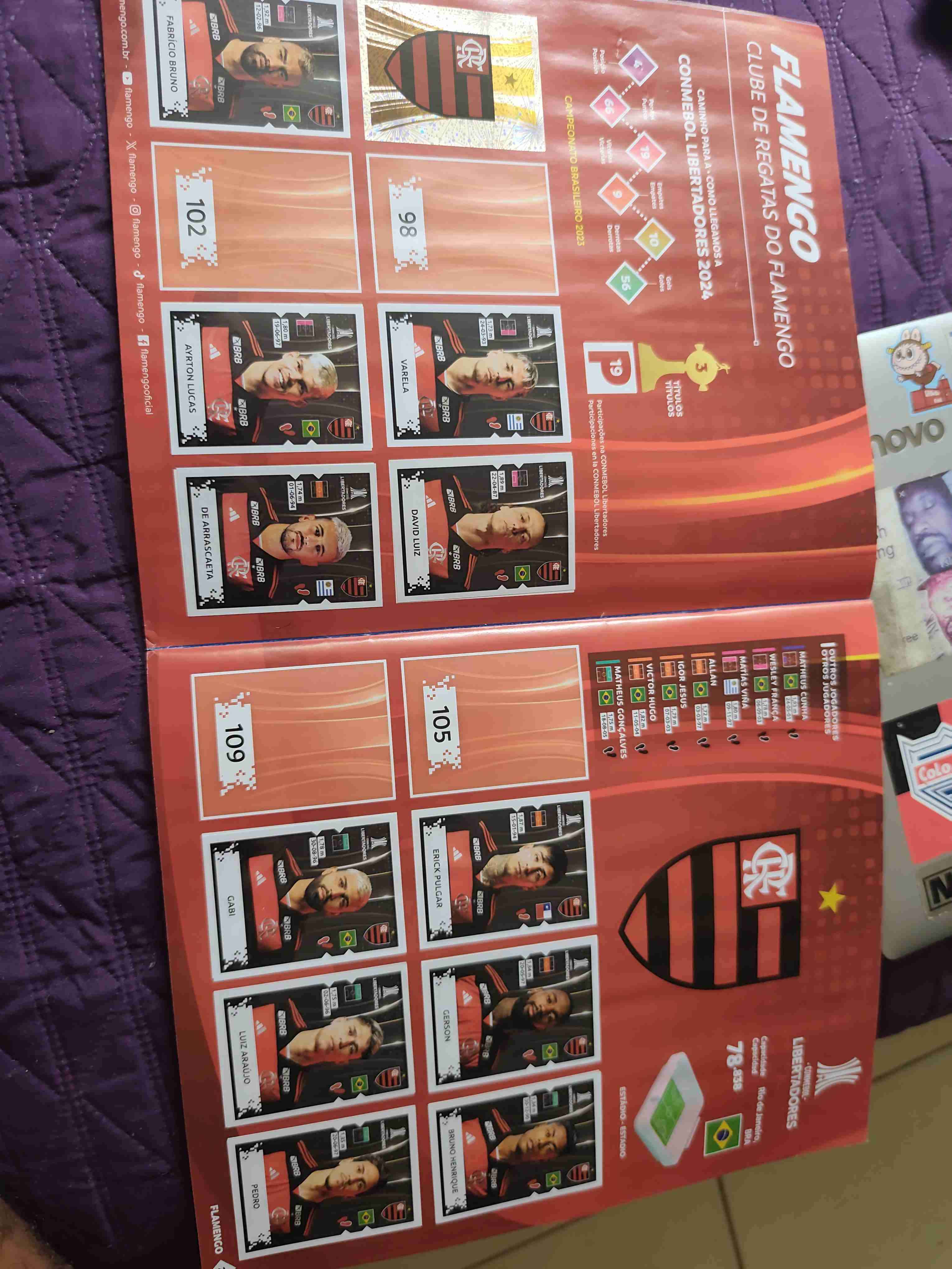 Álbum Panini Libertadores 2024 - miniatura 2