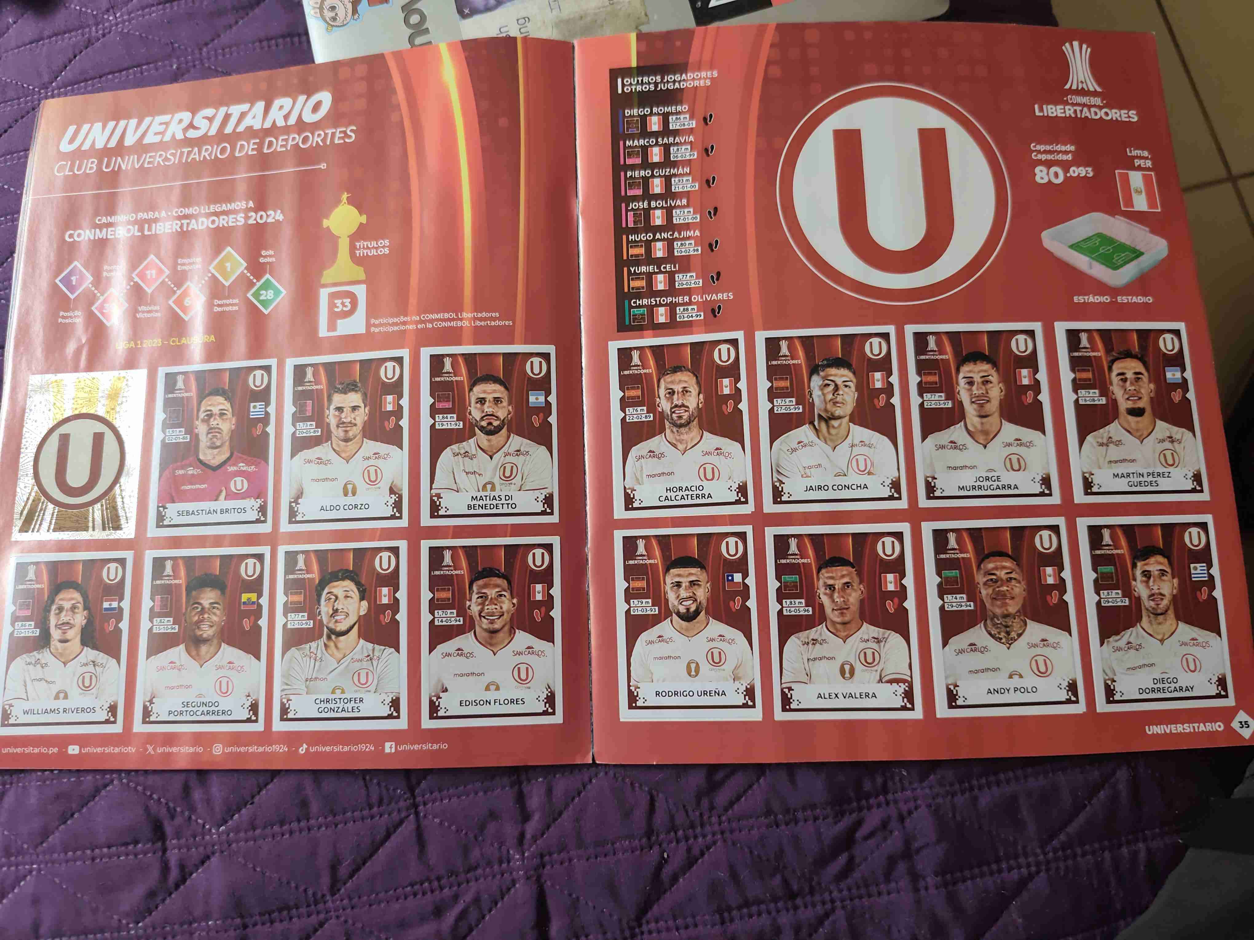 Álbum Panini Libertadores 2024 - miniatura 3