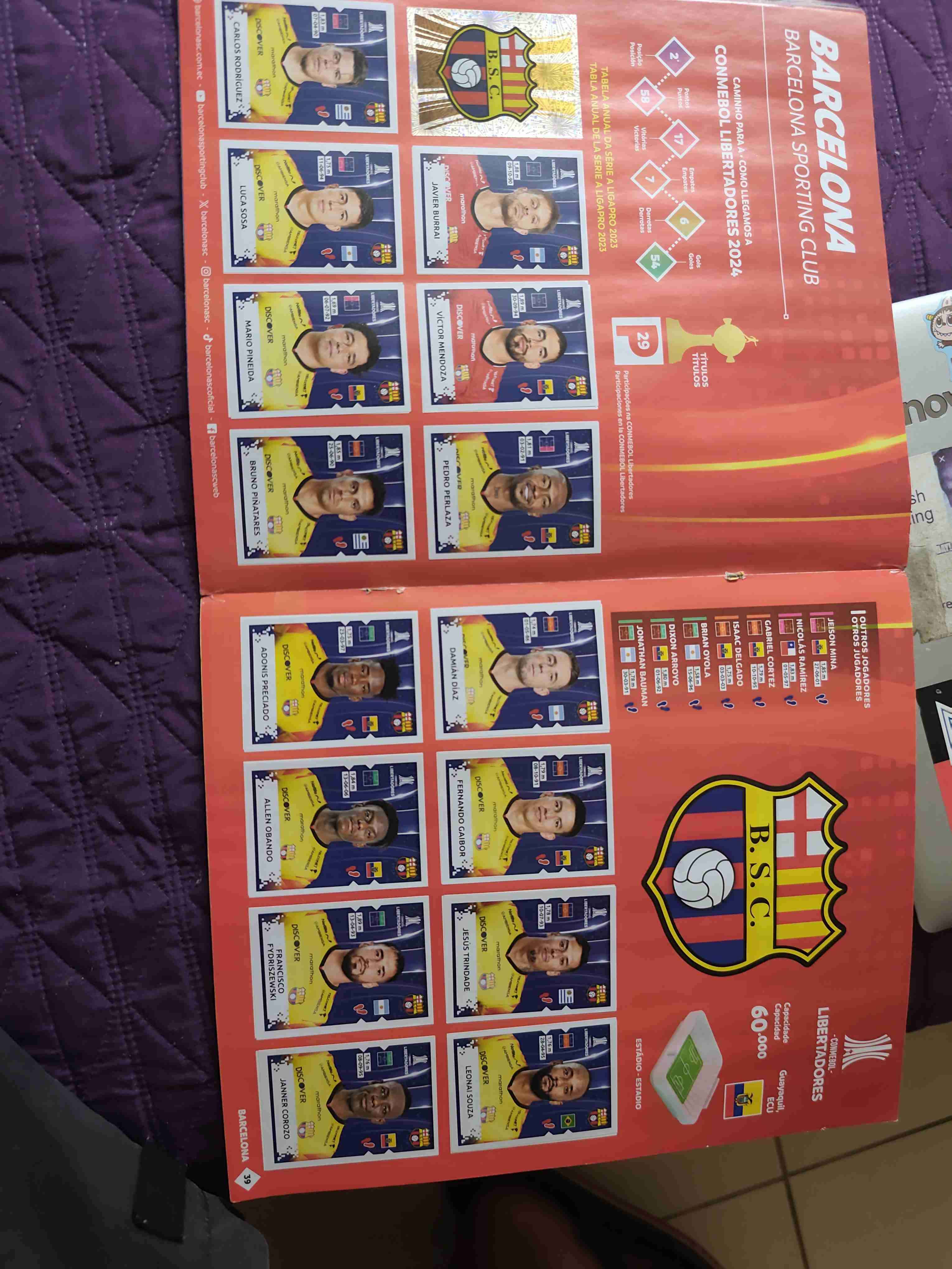 Álbum Panini Libertadores 2024 - miniatura 4