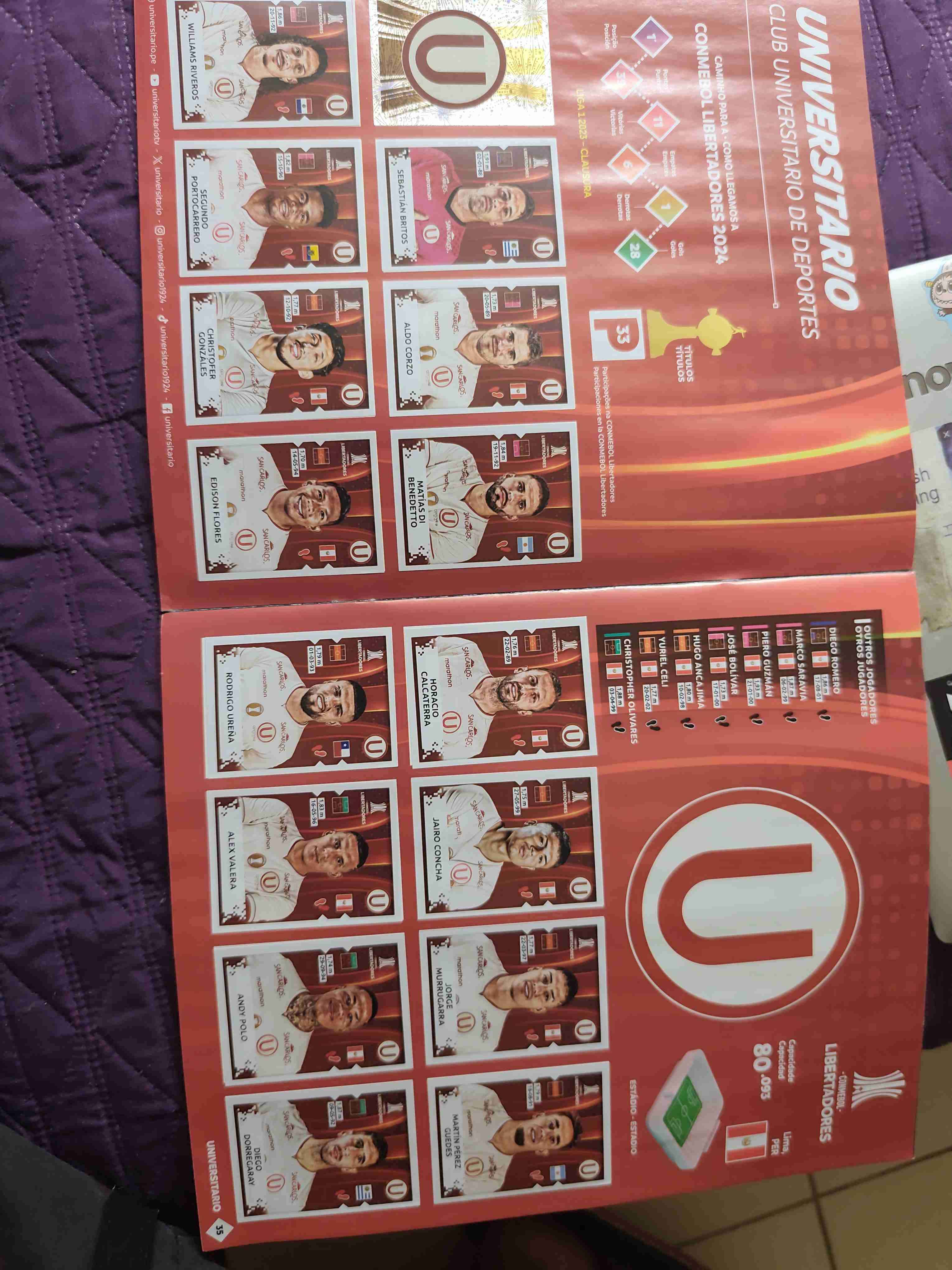 Álbum Panini Libertadores 2024 - miniatura 5