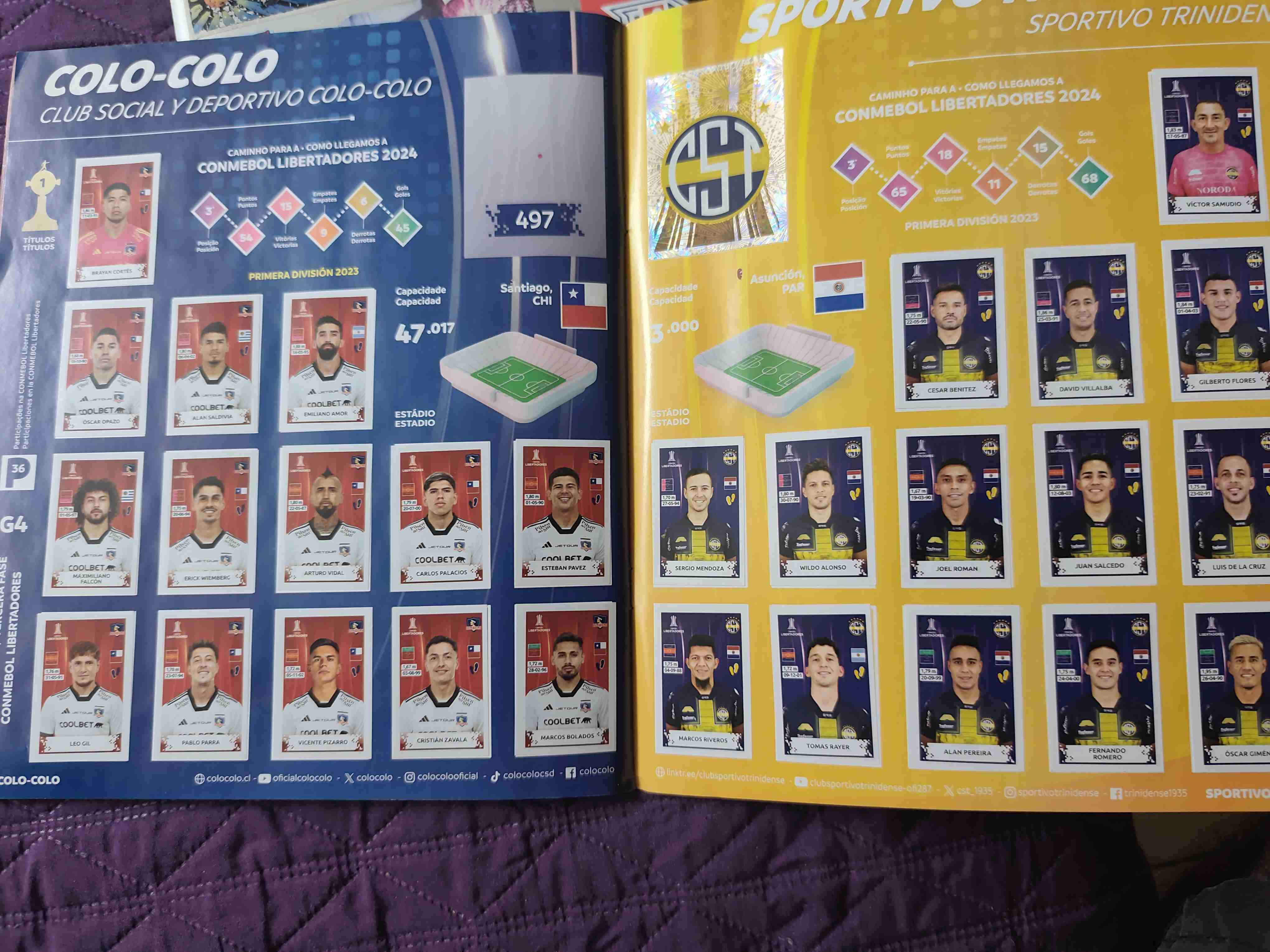 Álbum Panini Libertadores 2024 - miniatura 6