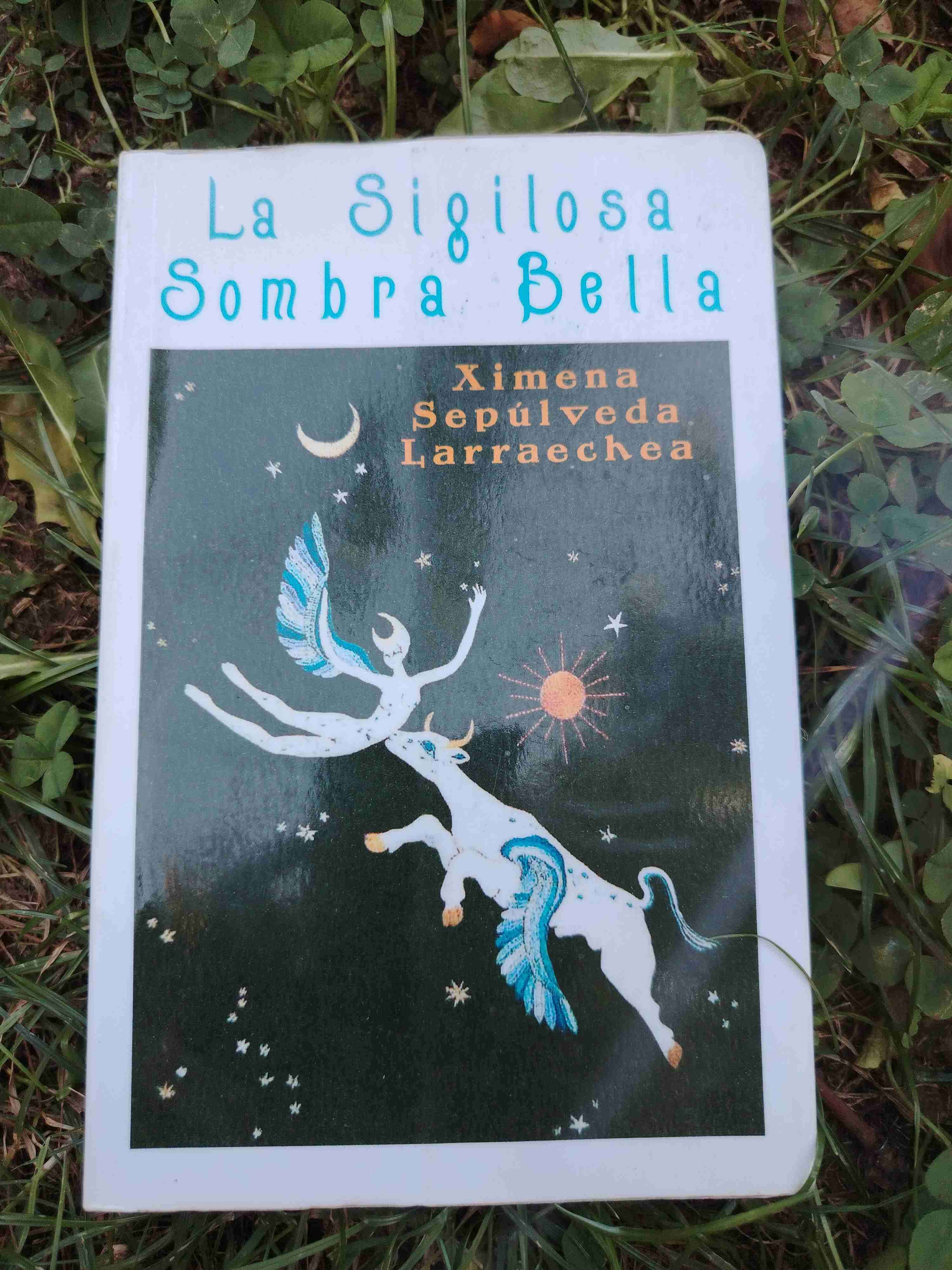 Libro 'La Sigilosa Sombra Bella'