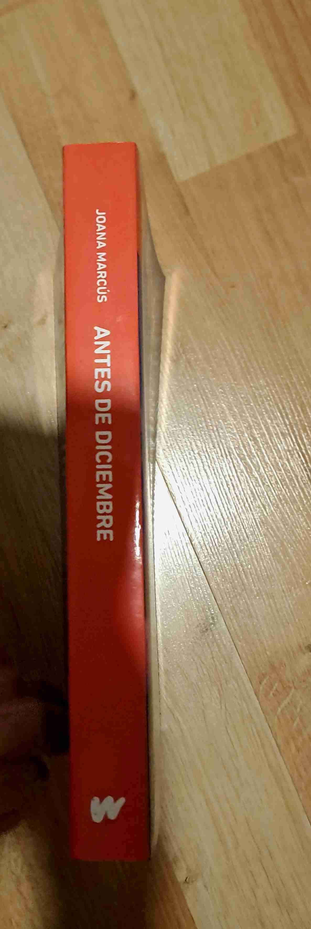 Libro 'Antes de diciembre' Joana Marcús - miniatura 2