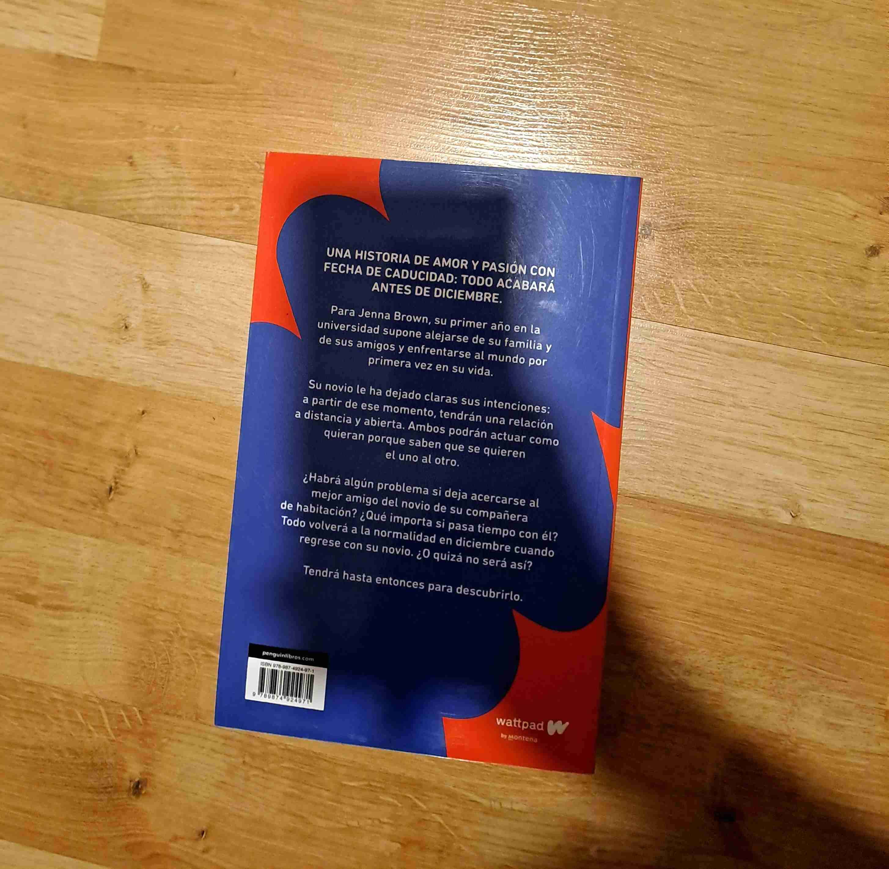 Libro 'Antes de diciembre' Joana Marcús - miniatura 3