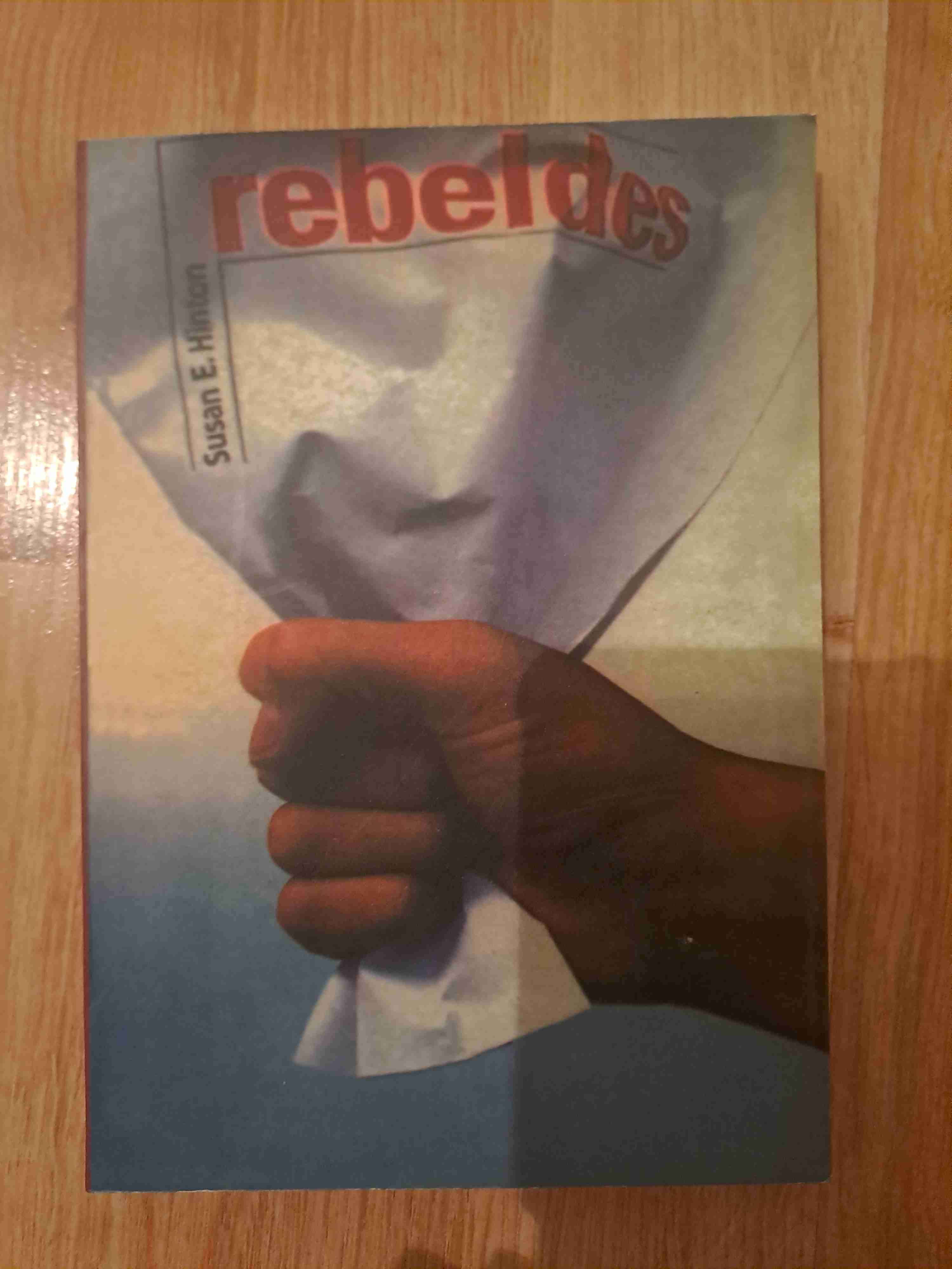 Libro "Rebeldes" Susan E. Hinton