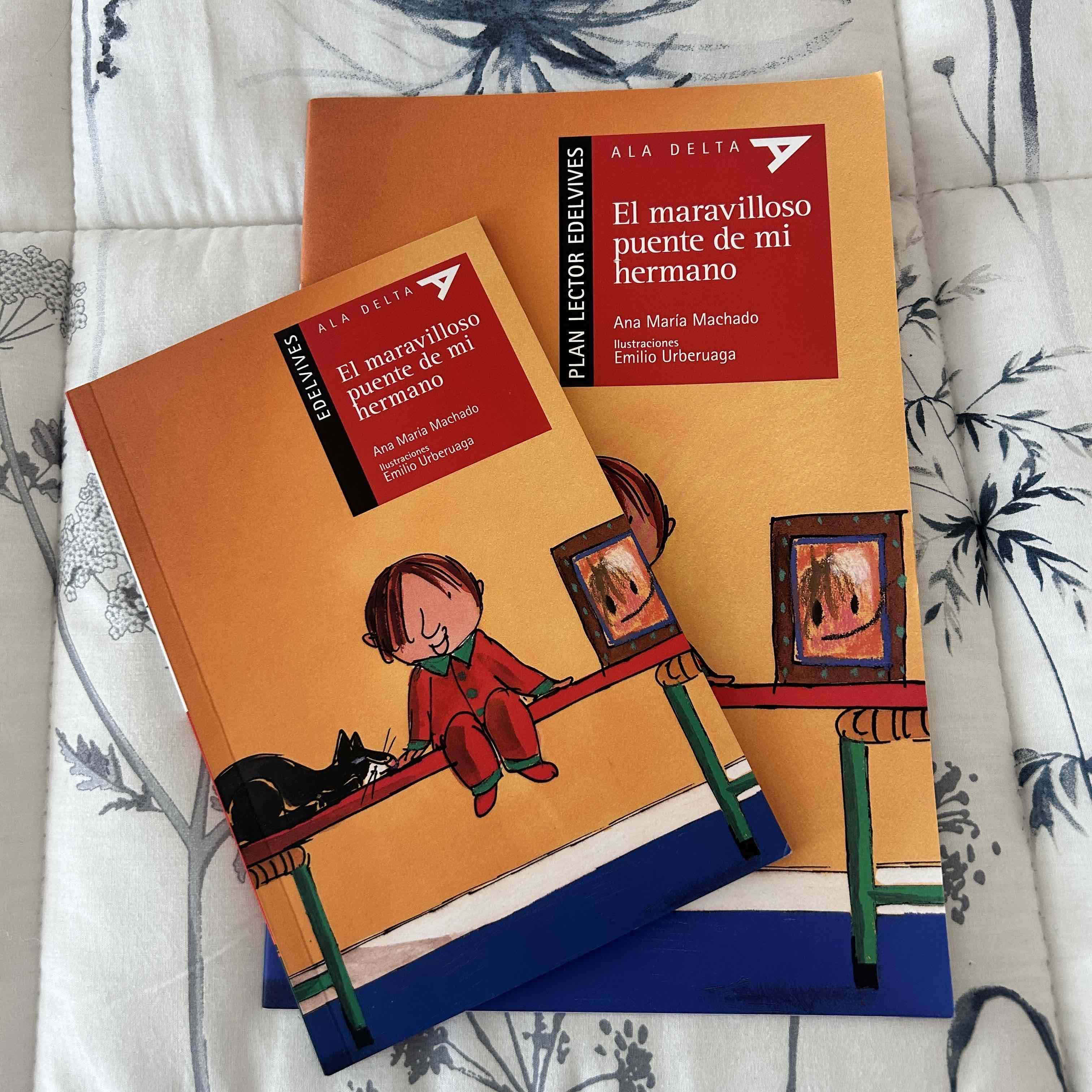 Libro 'El maravilloso puente de mi hermano'