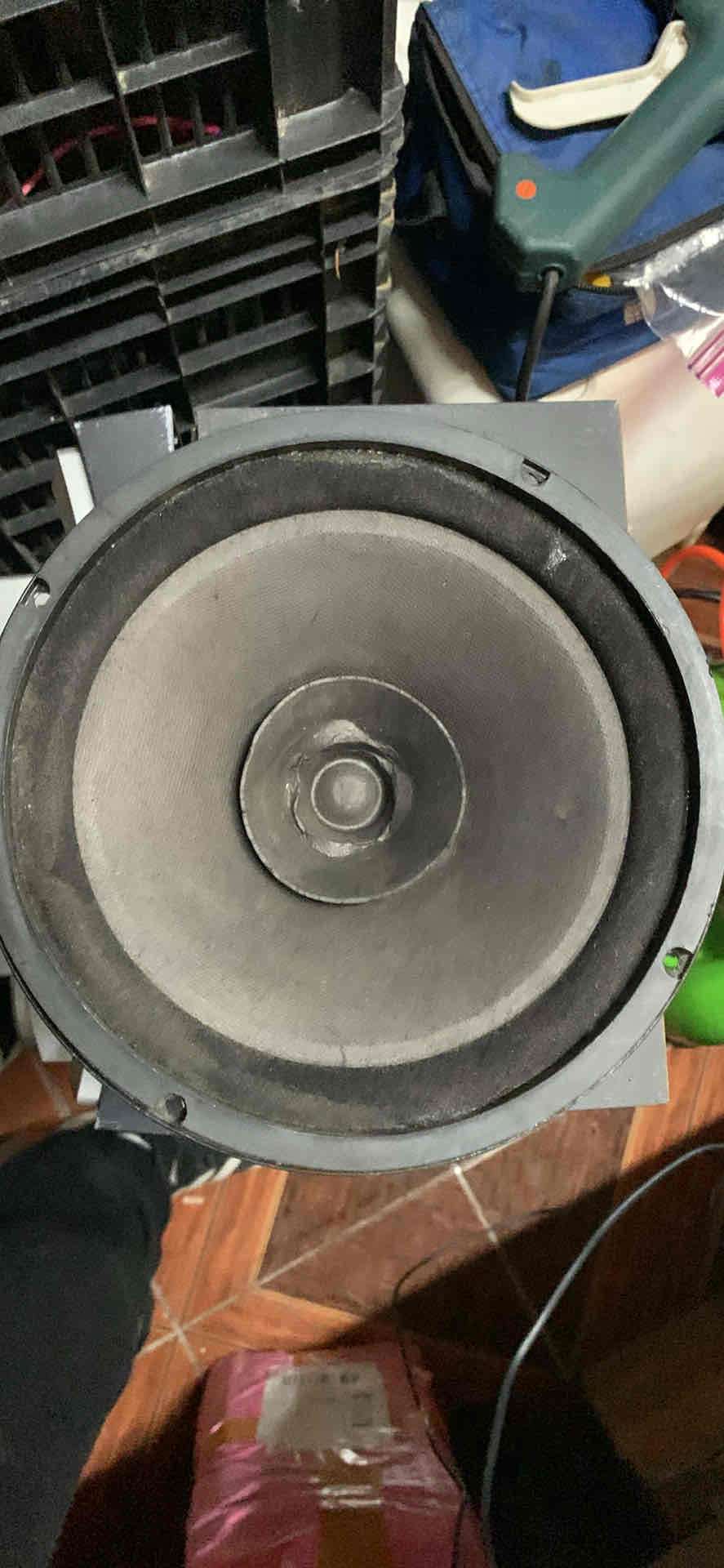 Parlante 8 pulgadas uno solo