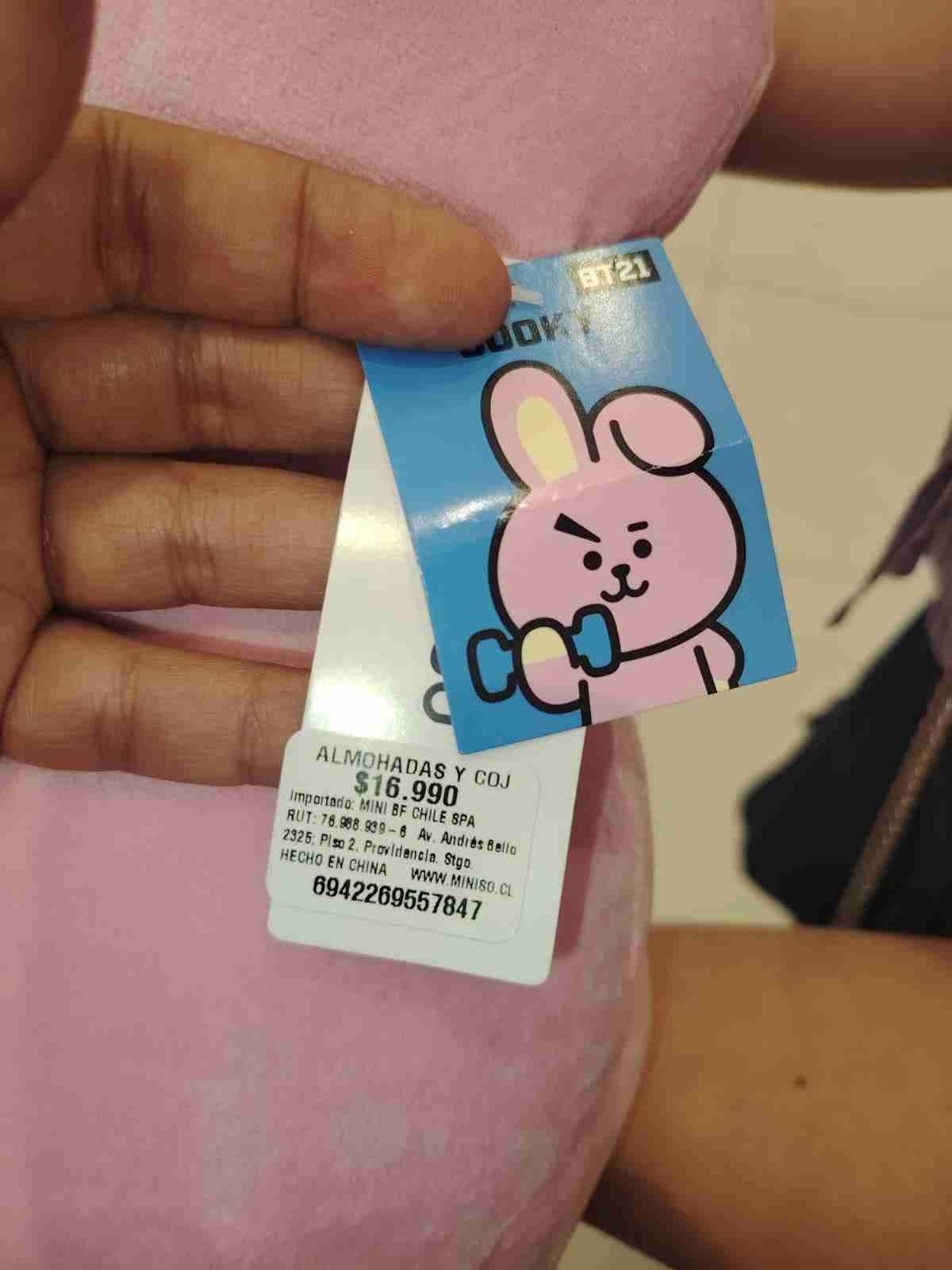 Cojín de peluche BT21 - miniatura 2
