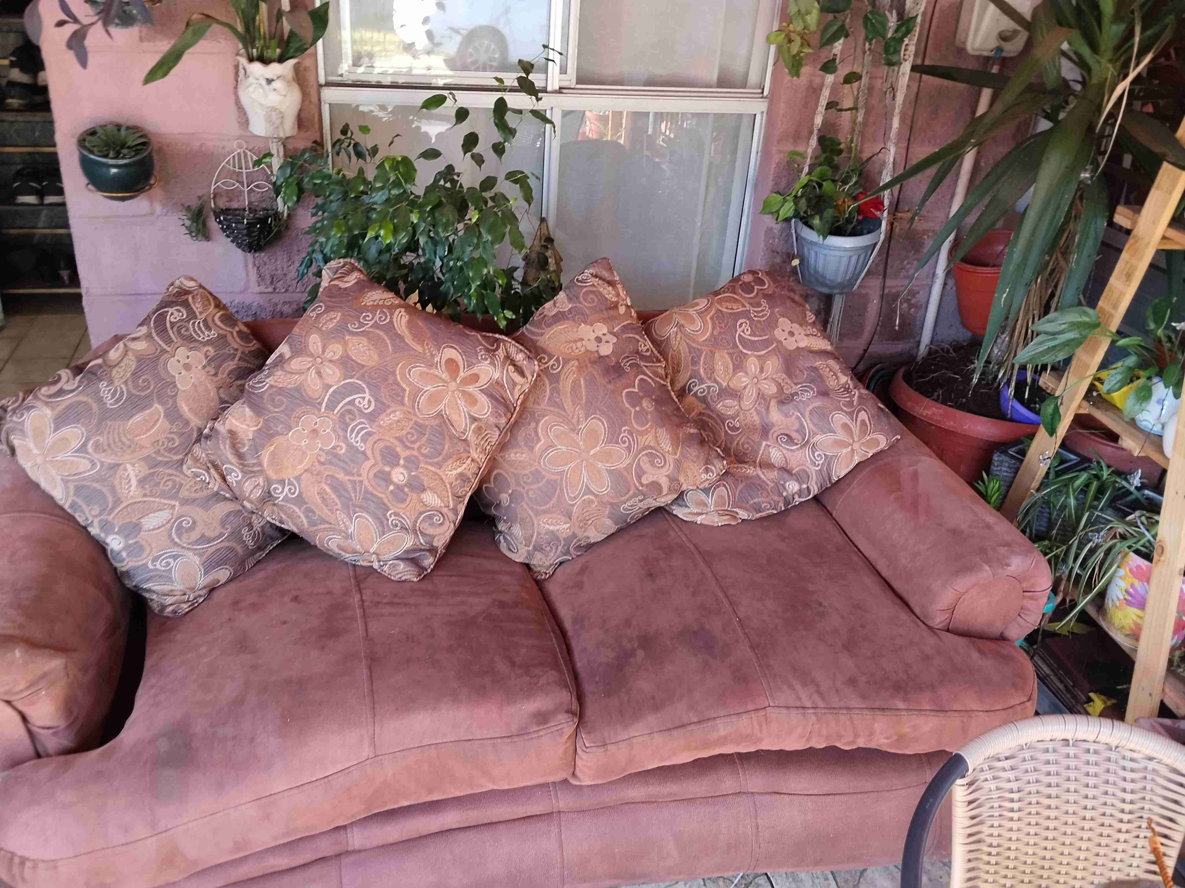 Sogas Ashley de cuero anti rasguños en puente alto - miniatura 2