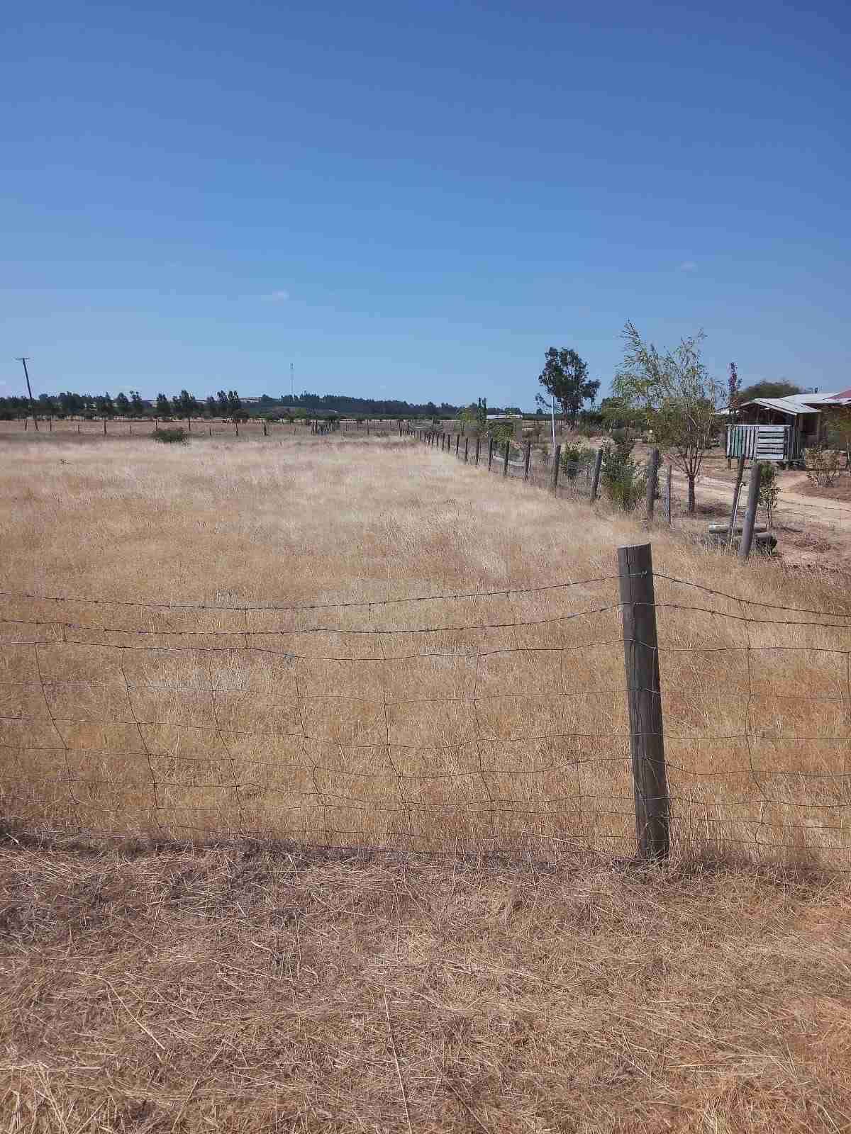 Terreno 5000 mts 2 en ñiquen