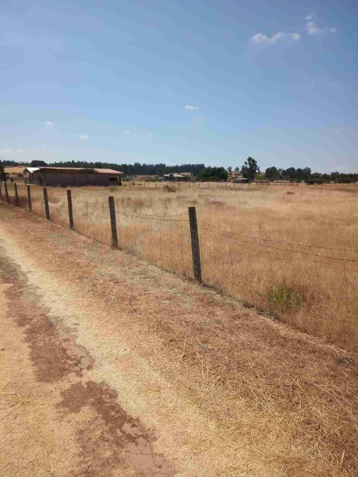 Terreno 5000 mts 2 en ñiquen - miniatura 2