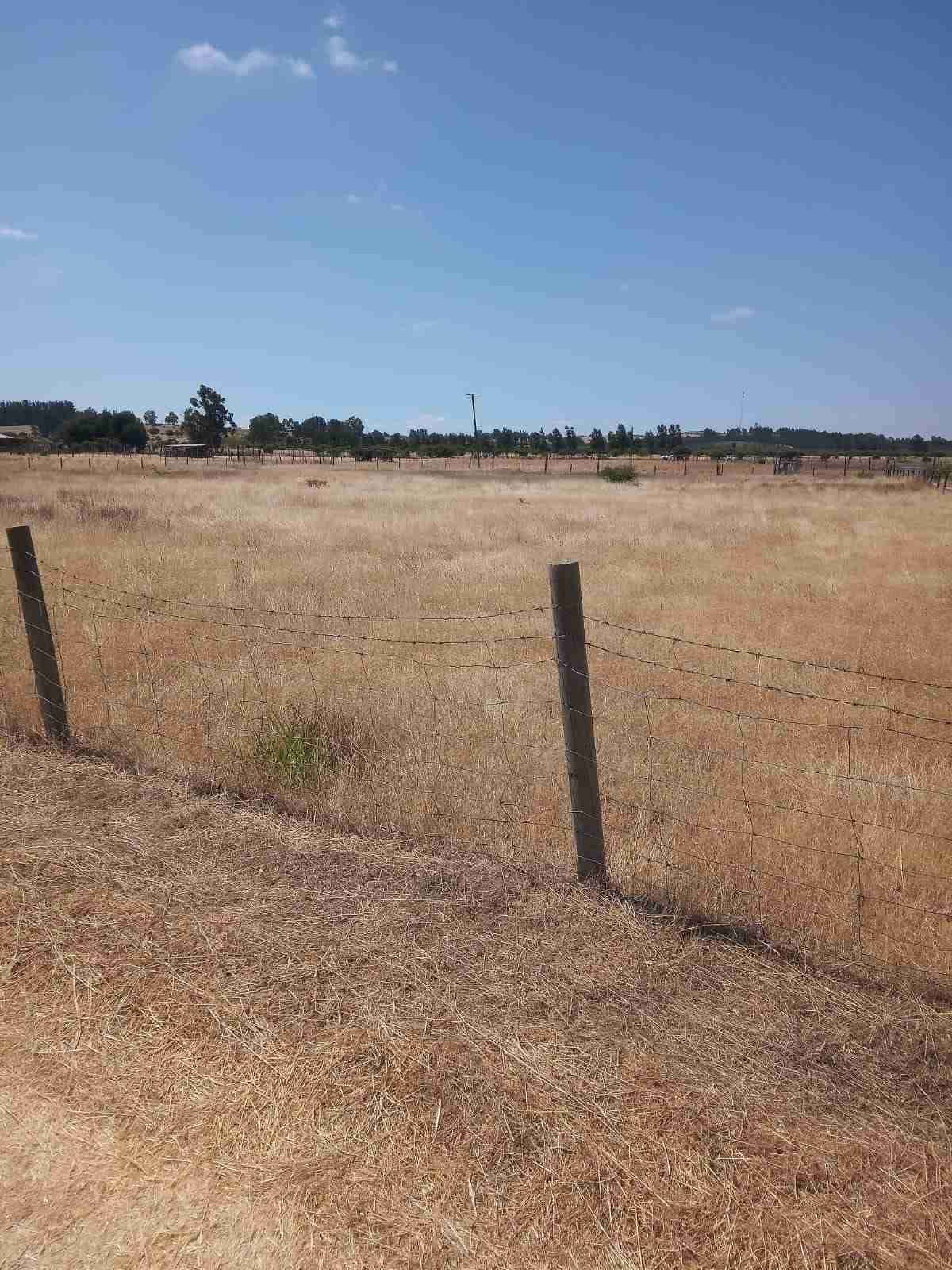 Terreno 5000 mts 2 en ñiquen - miniatura 3