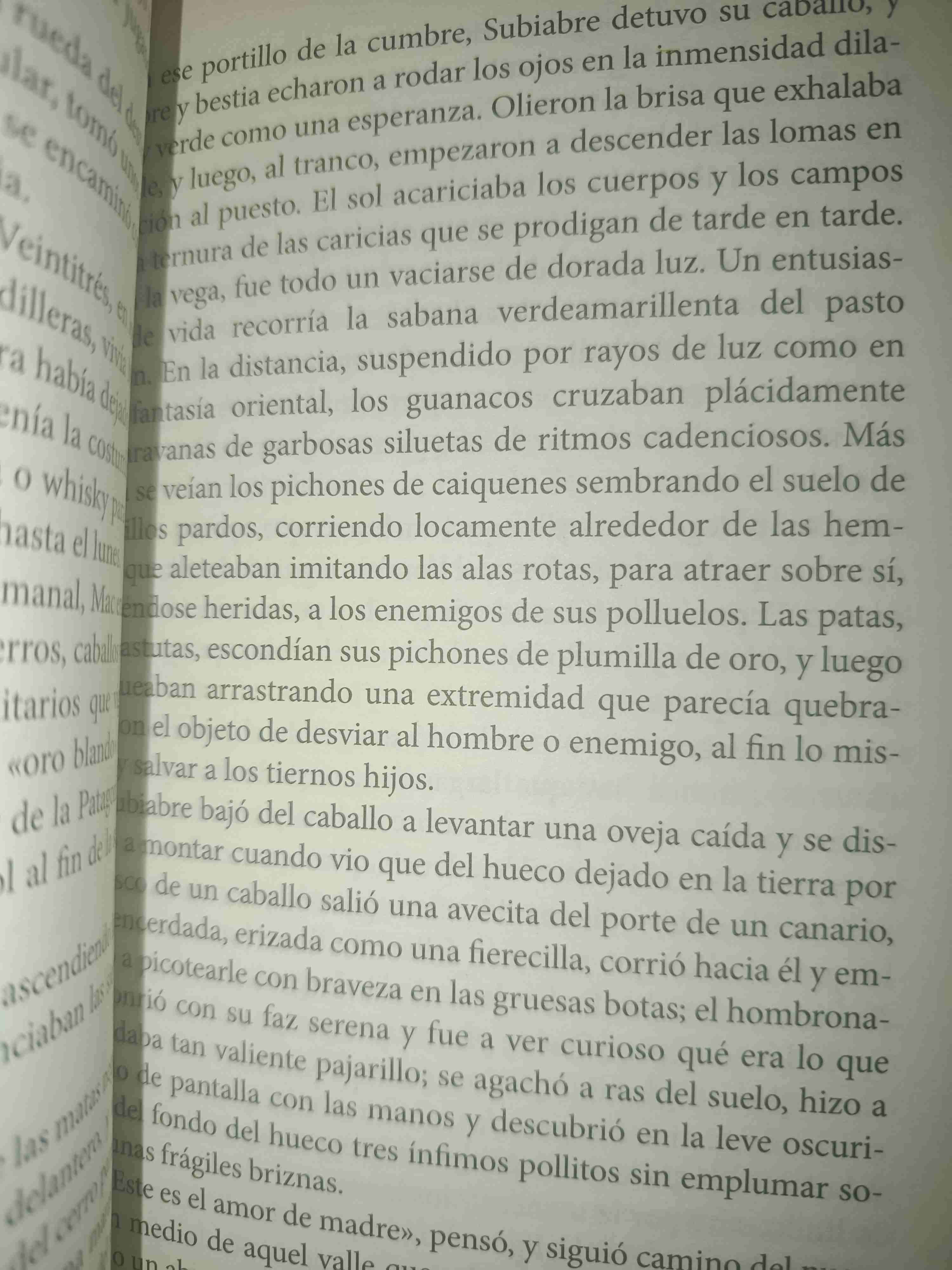 Libro 'Cabo de Hornos y Otros Cuentos' - miniatura 5