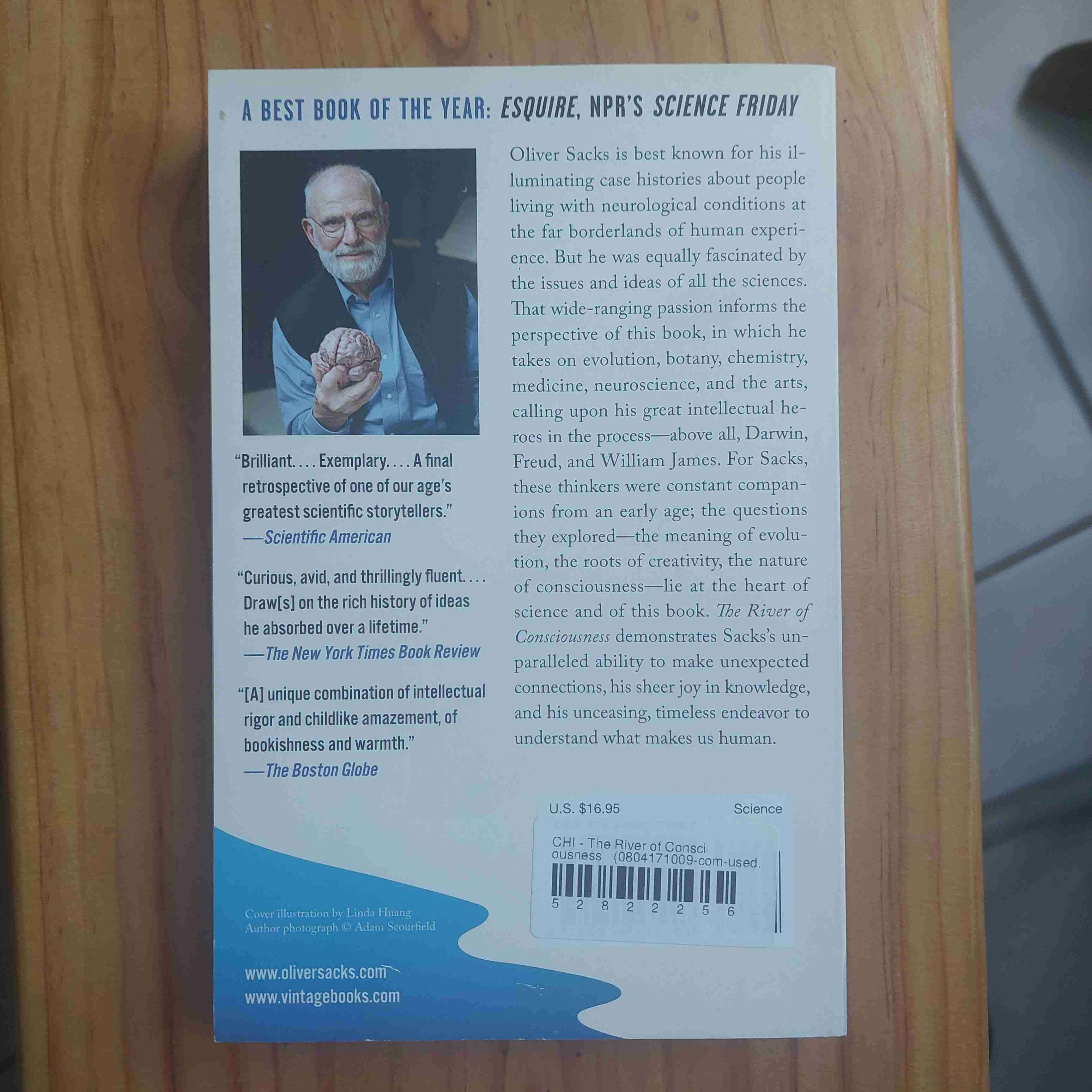 The River of Consciousness - miniatura 2