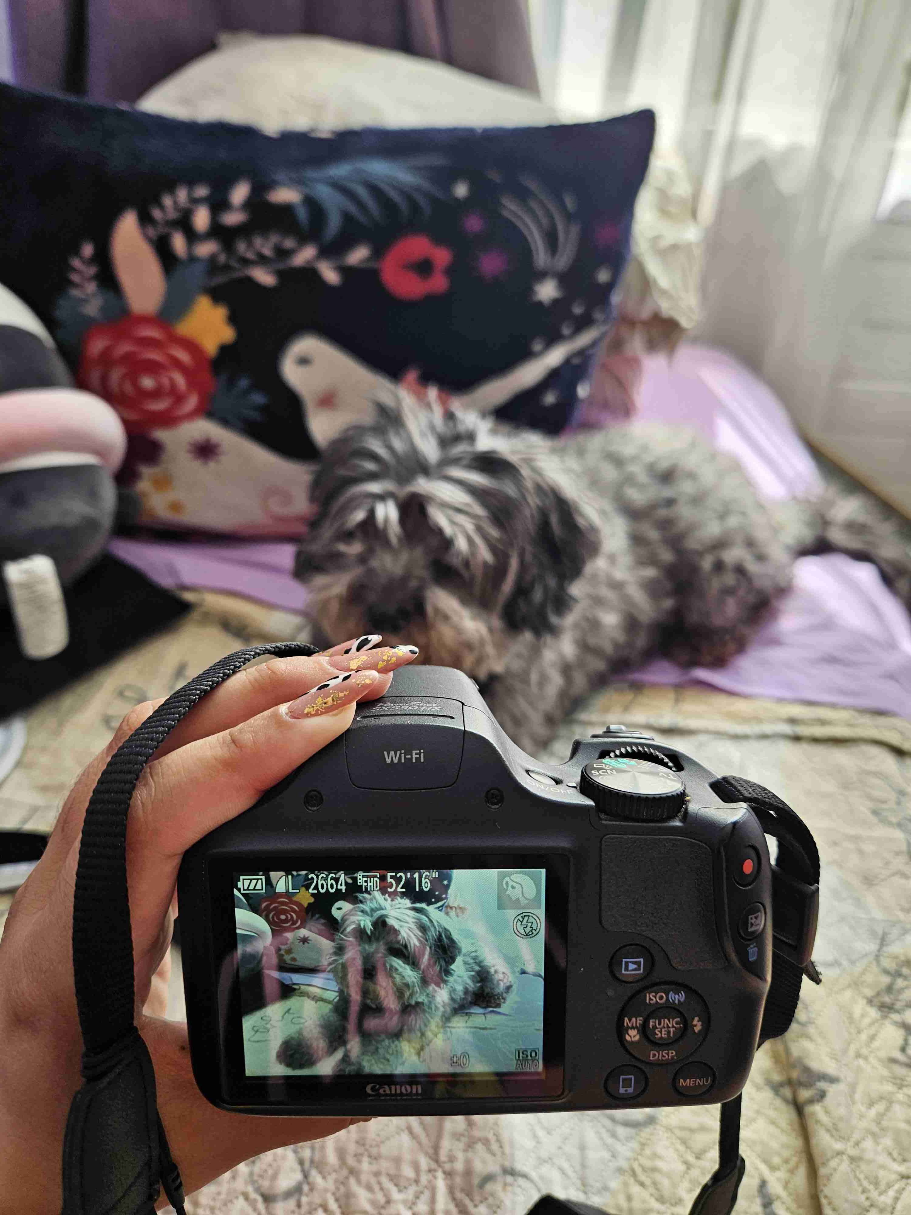 Cámara Canon PowerShot SX530 HS - miniatura 3