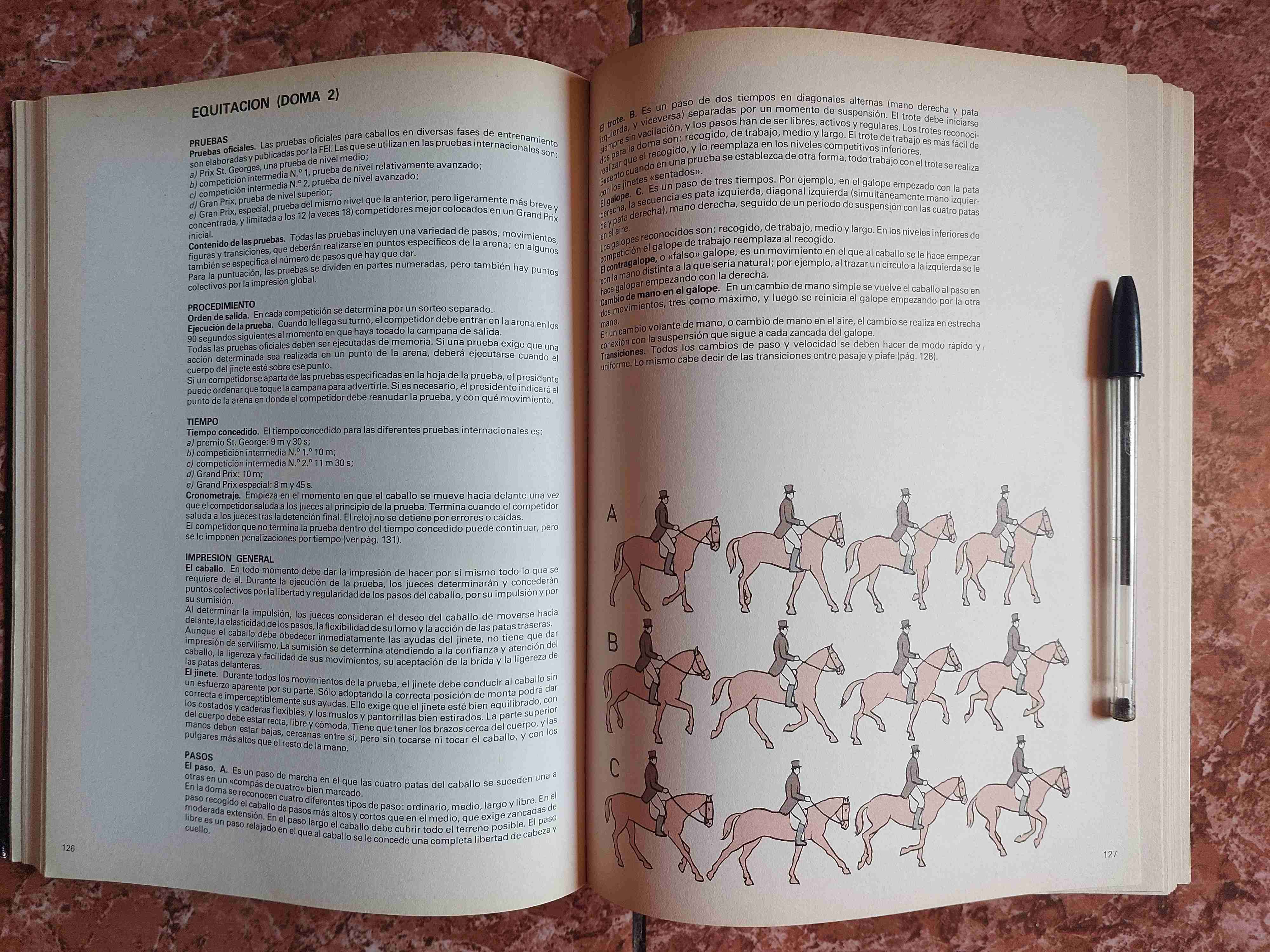 Enciclopedia completa de los deportes - miniatura 4