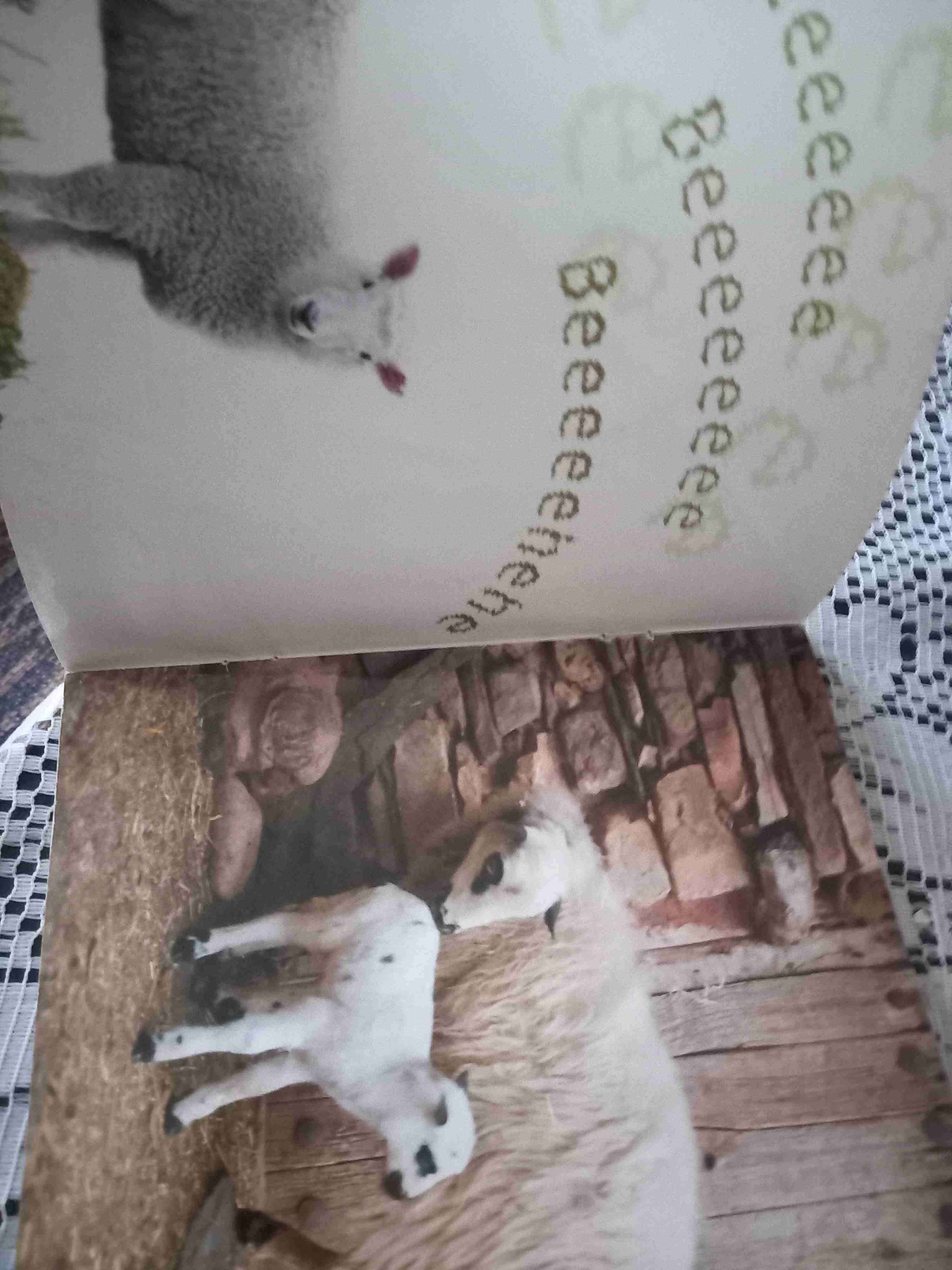 Libro 'Los animales me hablan' Santillana - miniatura 3