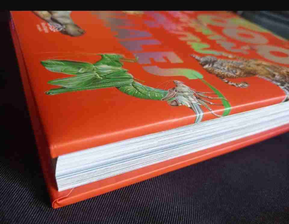 Libro 1,000 Preguntas y Respuestas - miniatura 2