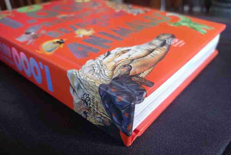 Libro 1,000 Preguntas y Respuestas - miniatura 3