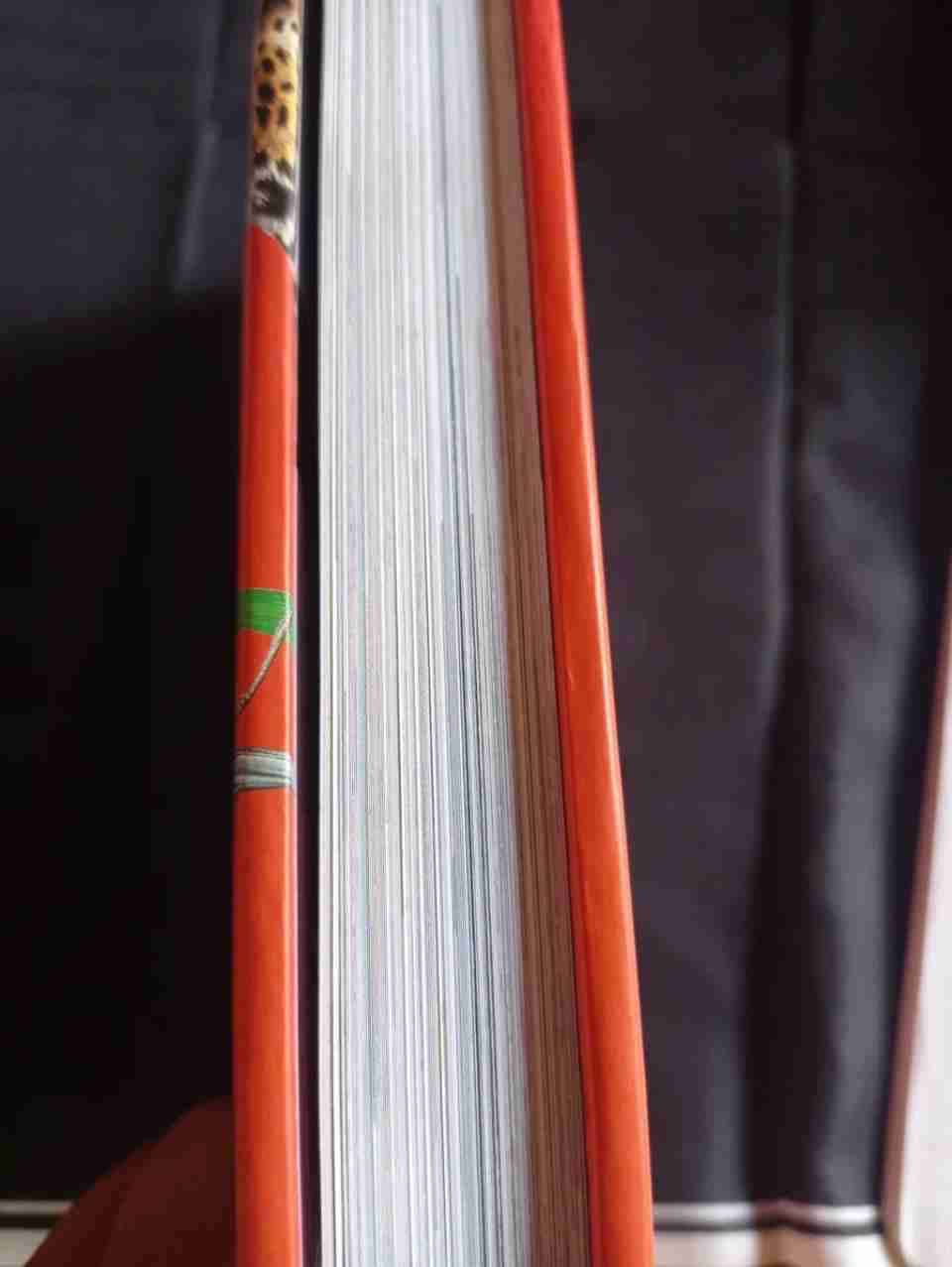 Libro 1,000 Preguntas y Respuestas - miniatura 4