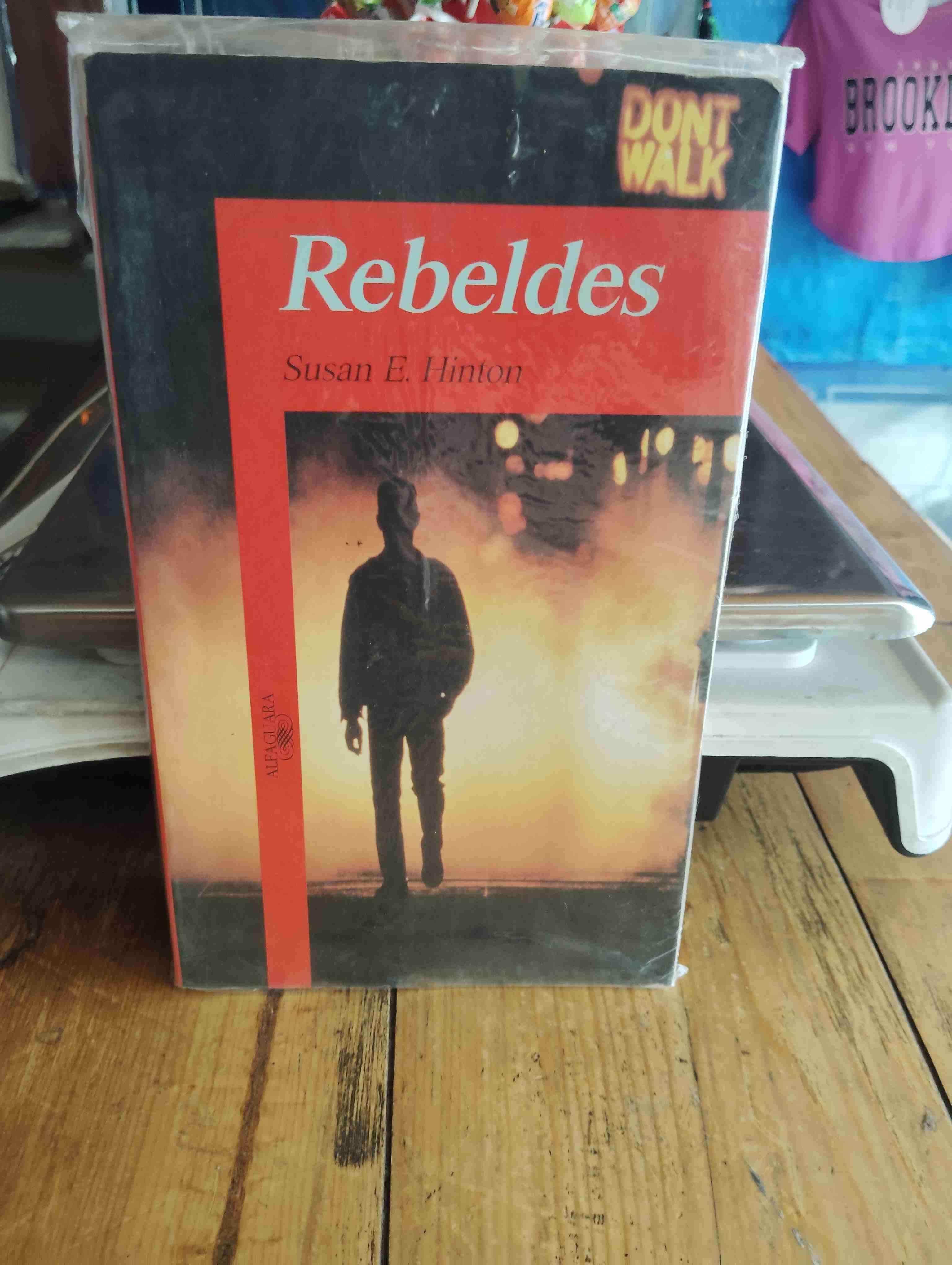 Libro Rebeldes de S.E. Hinton