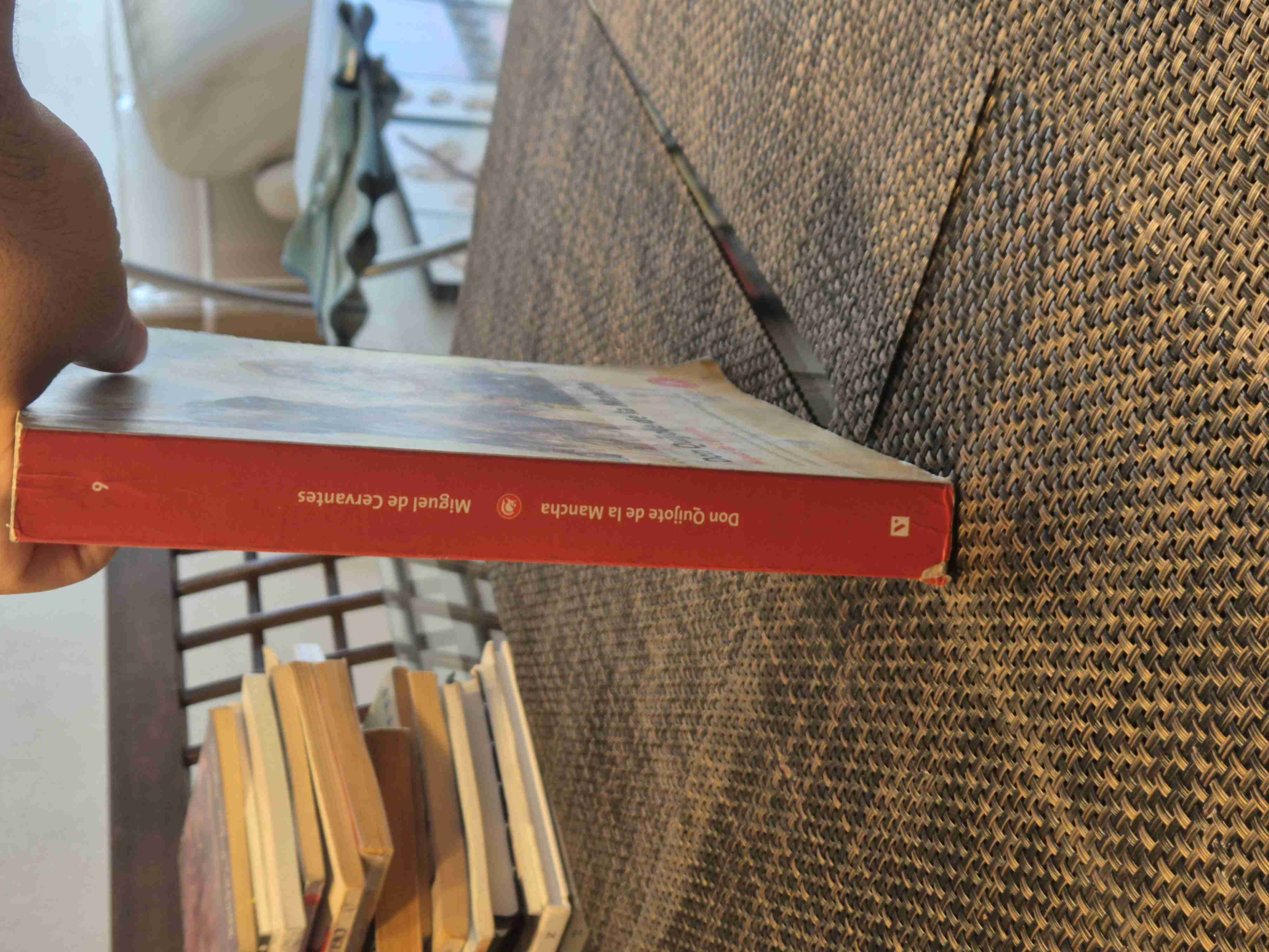 Don Quijote de la Mancha - miniatura 2