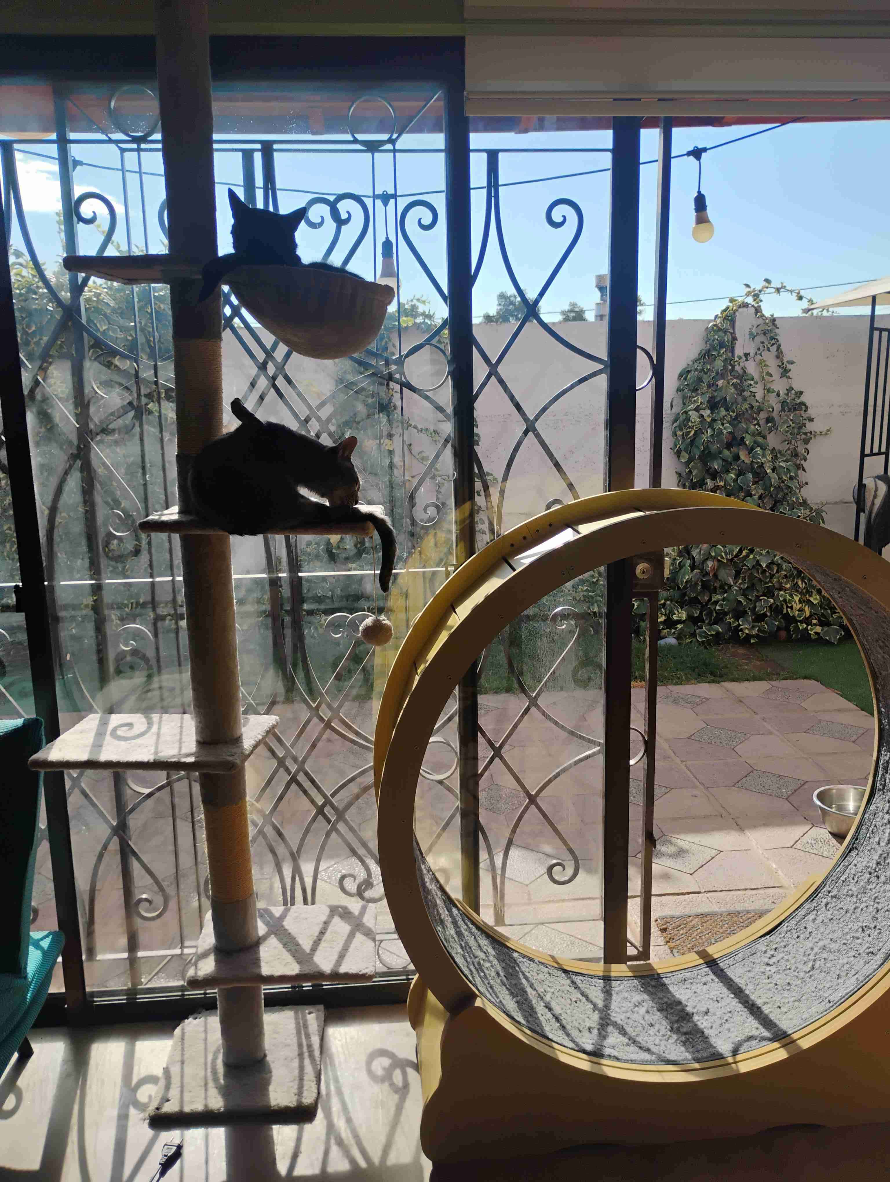 Rueda de ejercicio para gatos beige - miniatura 2