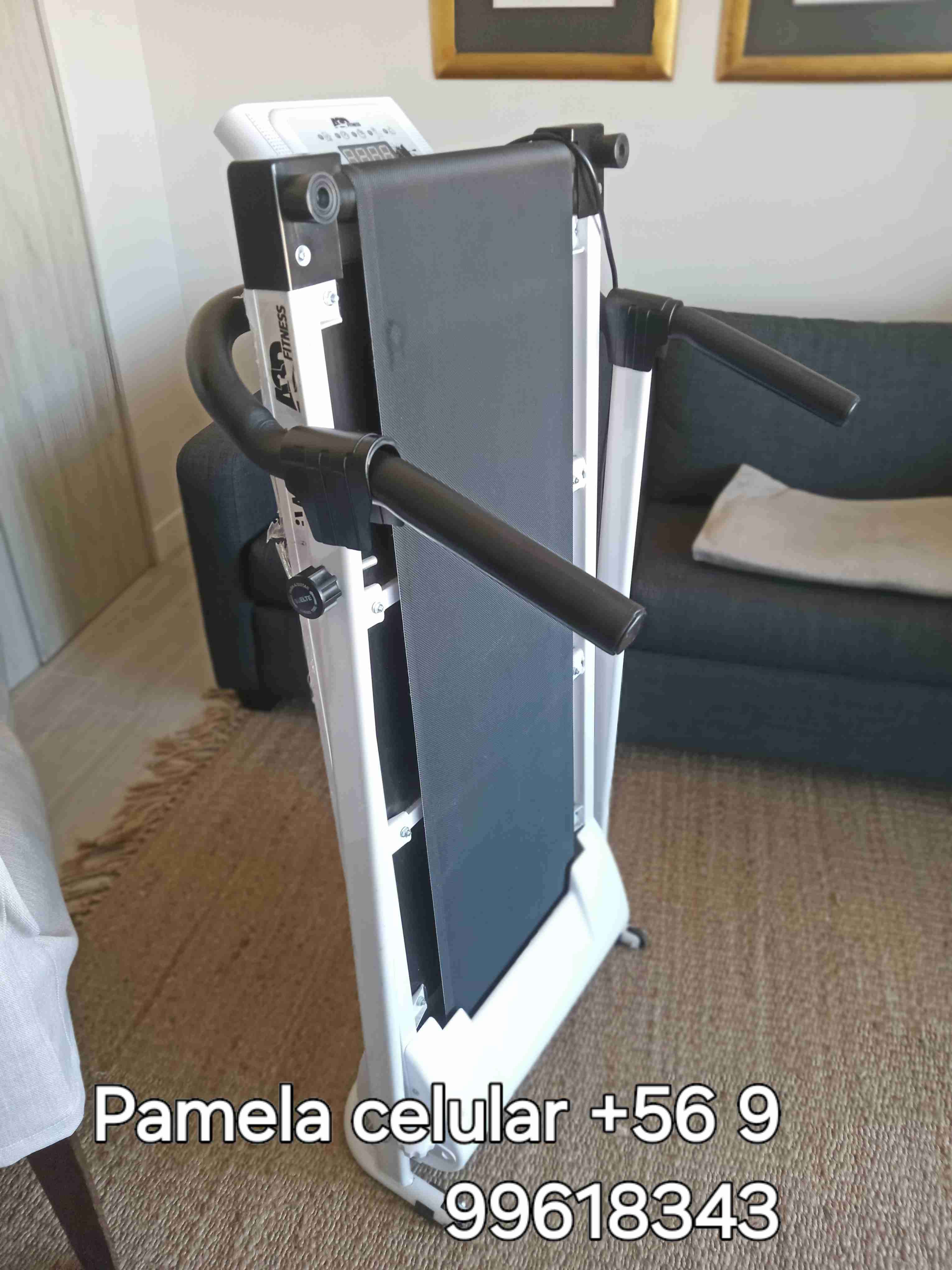 Caminadora plegable usada