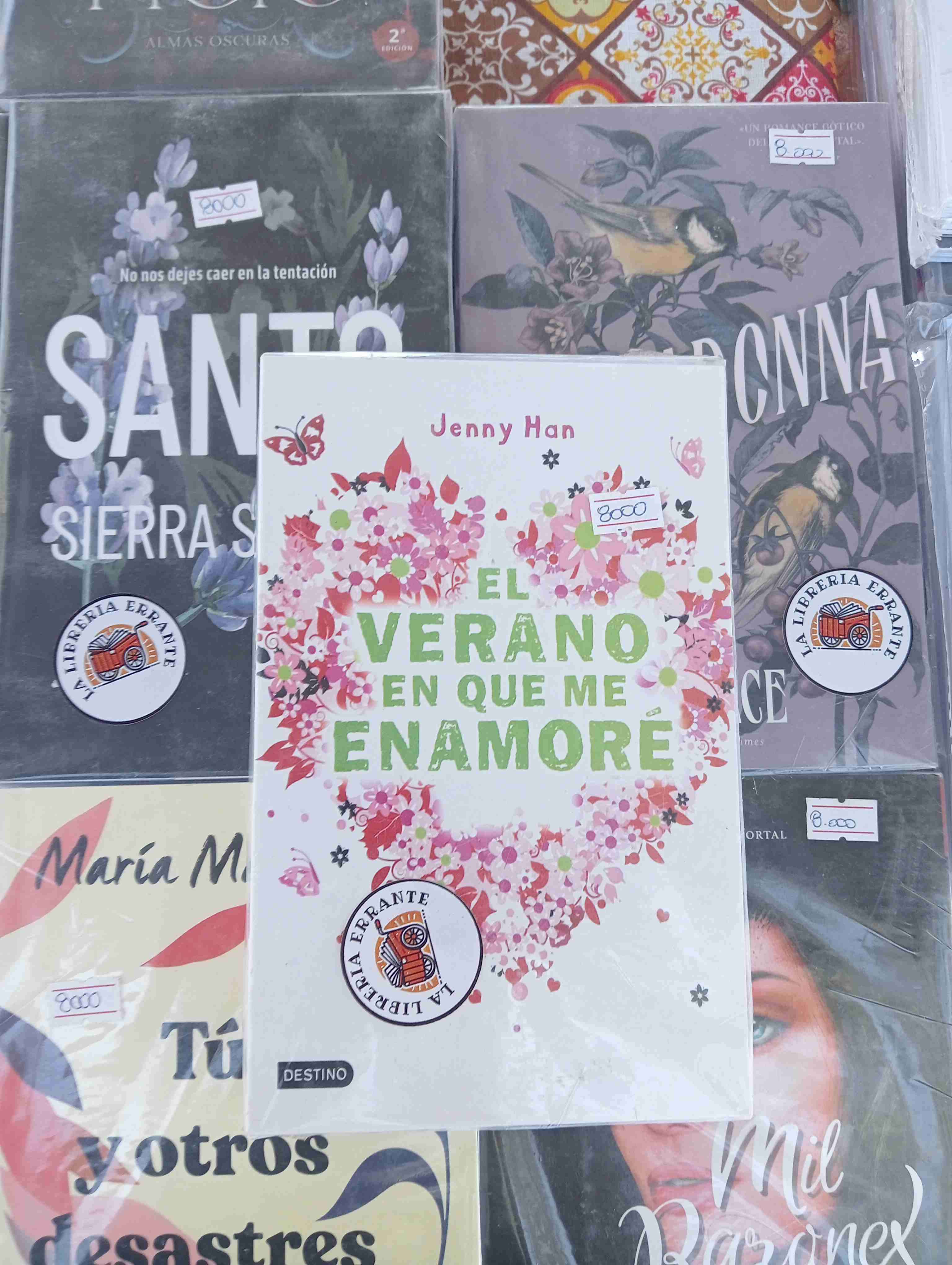 Libro 'El verano en que me enamoré'