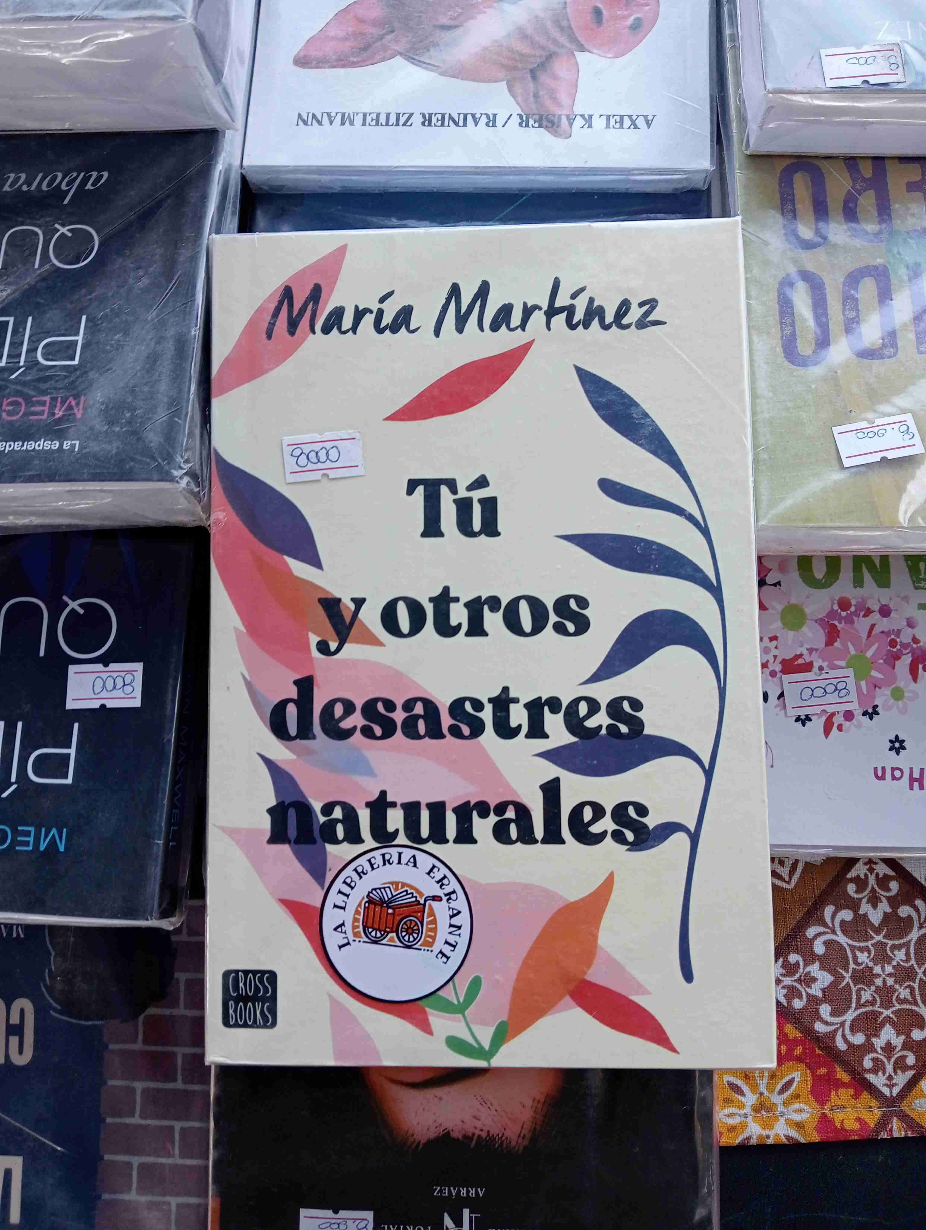 Libro 'Tú y otros desastres naturales'
