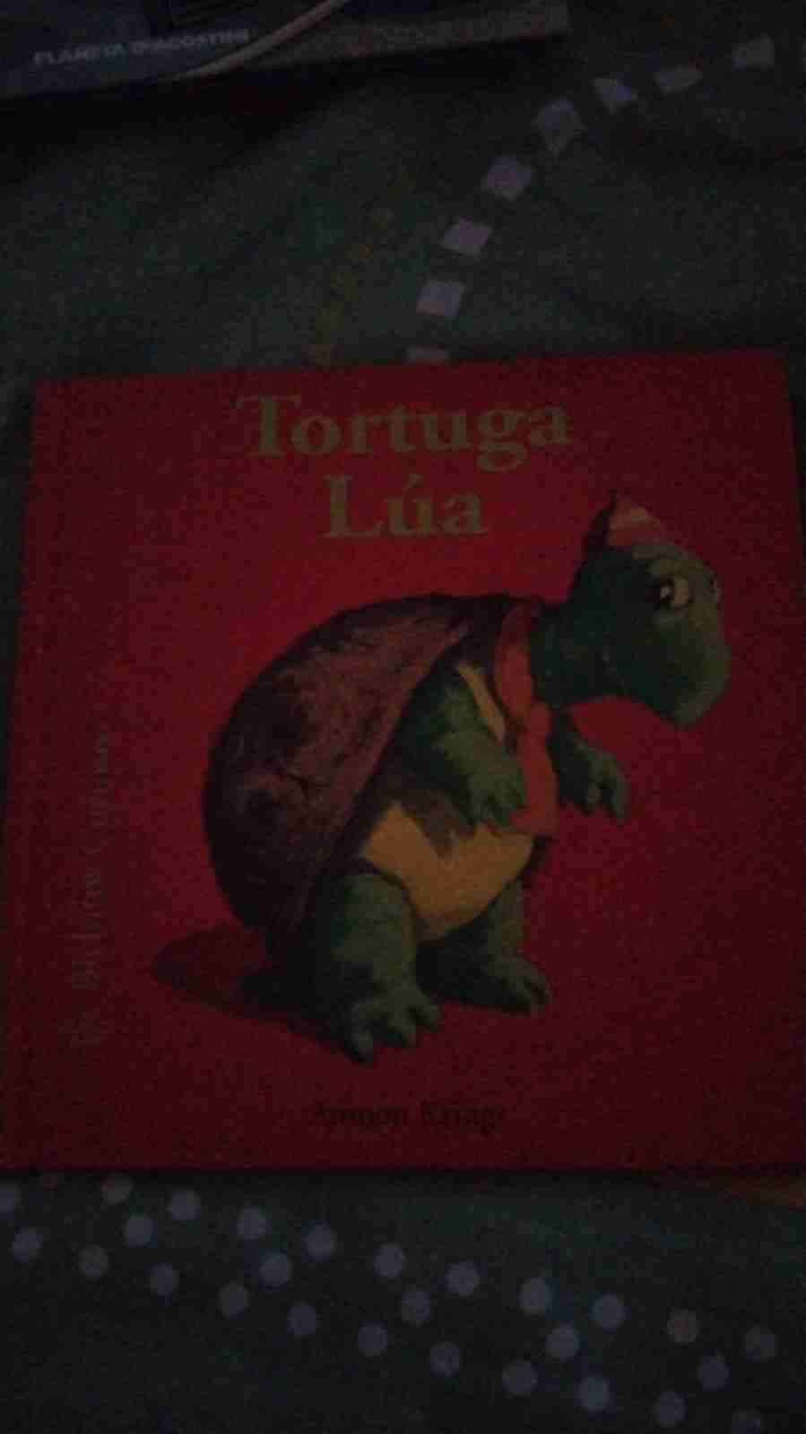 Libro infantil 'Tortuga Lúa'