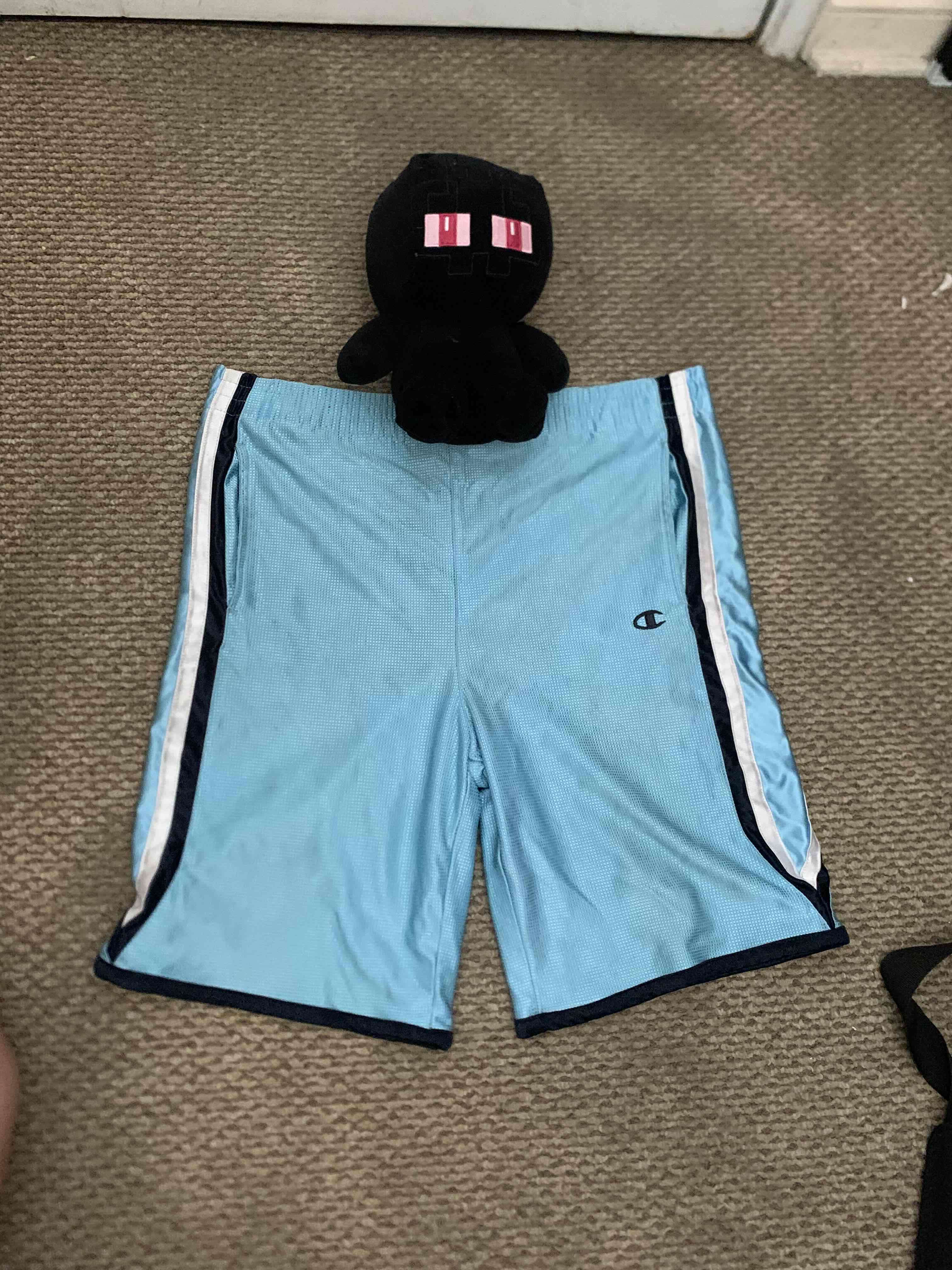 Shorts celestes Champion