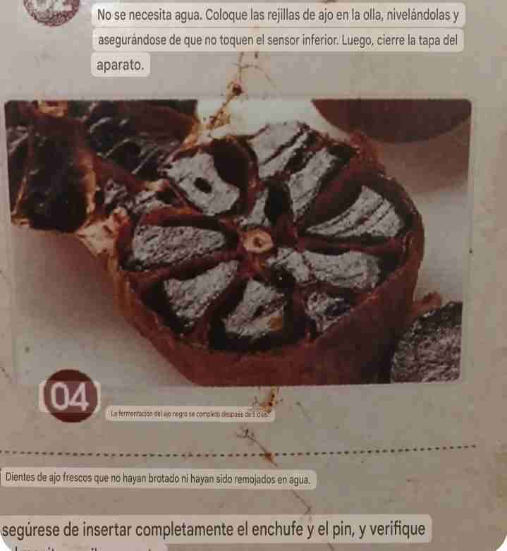 Olla eléctrica para hacer ajo negro - miniatura 3