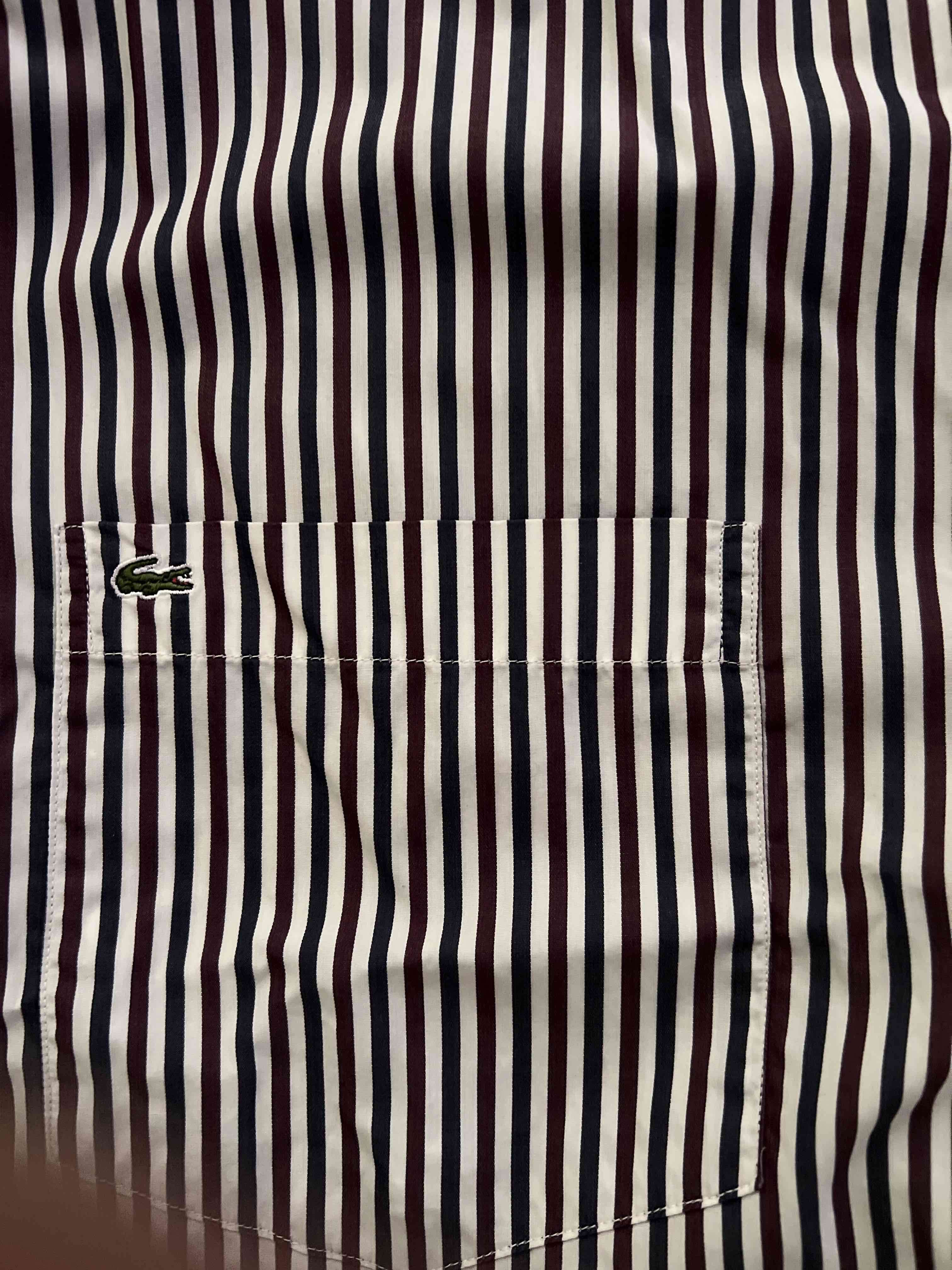 Camisa Lacoste a rayas - miniatura 2