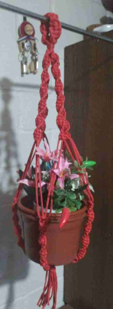 Colgante para plantas de macramé - miniatura 2